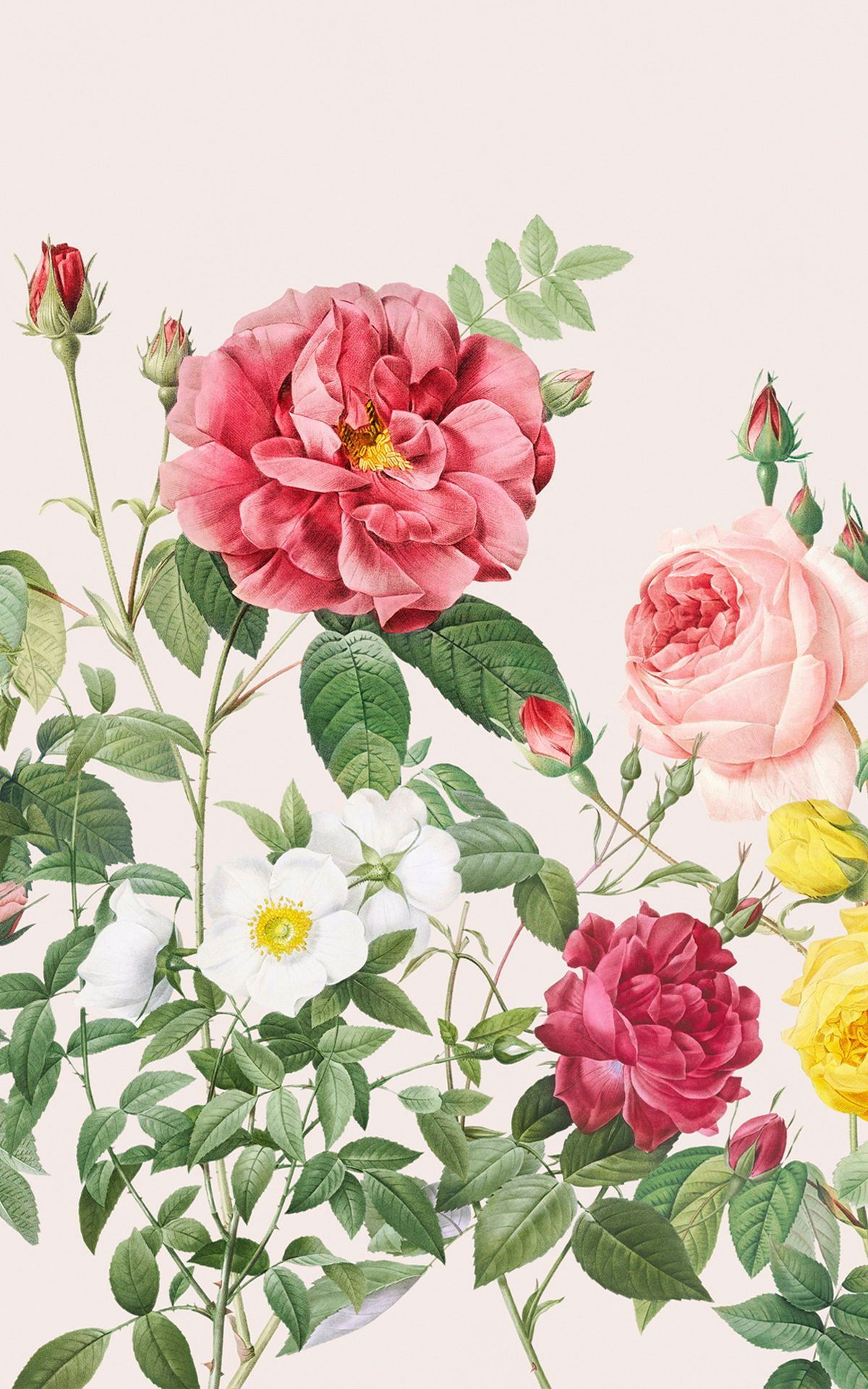 1200x1920 Pink Spring Flowers Vintage Floral Wallpaper Mural | Hovia | Vintage floral wallpapers, Floral wallpaper, Flower wallpaper
