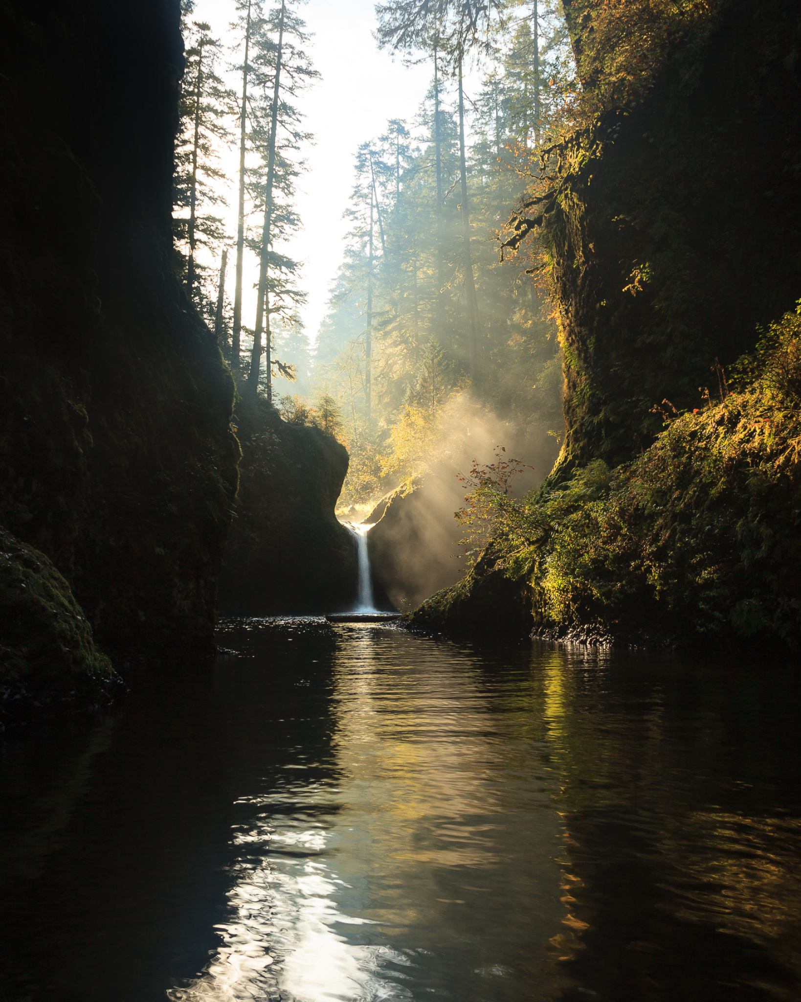 1638x2048 Pacific Northwest | Morning Light Photography