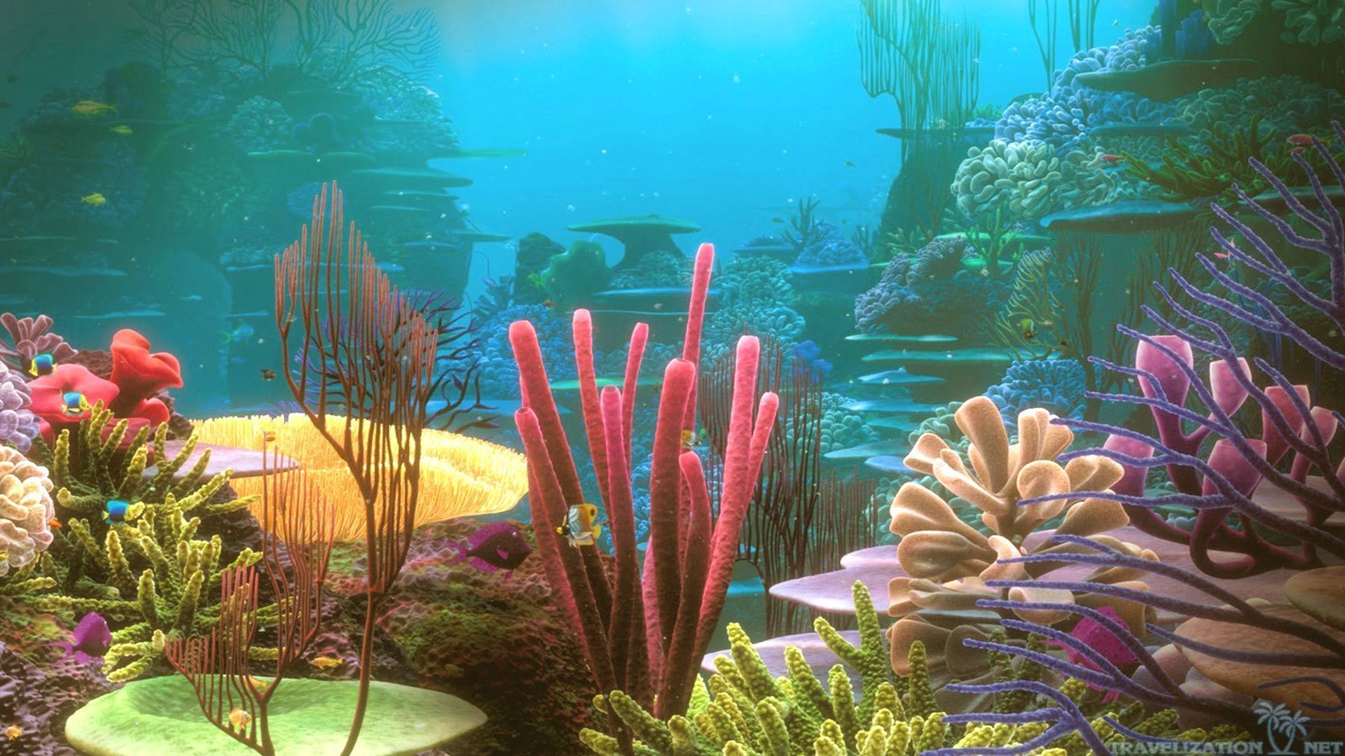 1920x1080 Colorful Coral Reef Desktop, Under Water Wallpaper, hd phone ... | Fundos de aqu&Atilde;&iexcl;rio, Painel fundo do mar, Fotos subaqu&Atilde;&iexcl;ticas