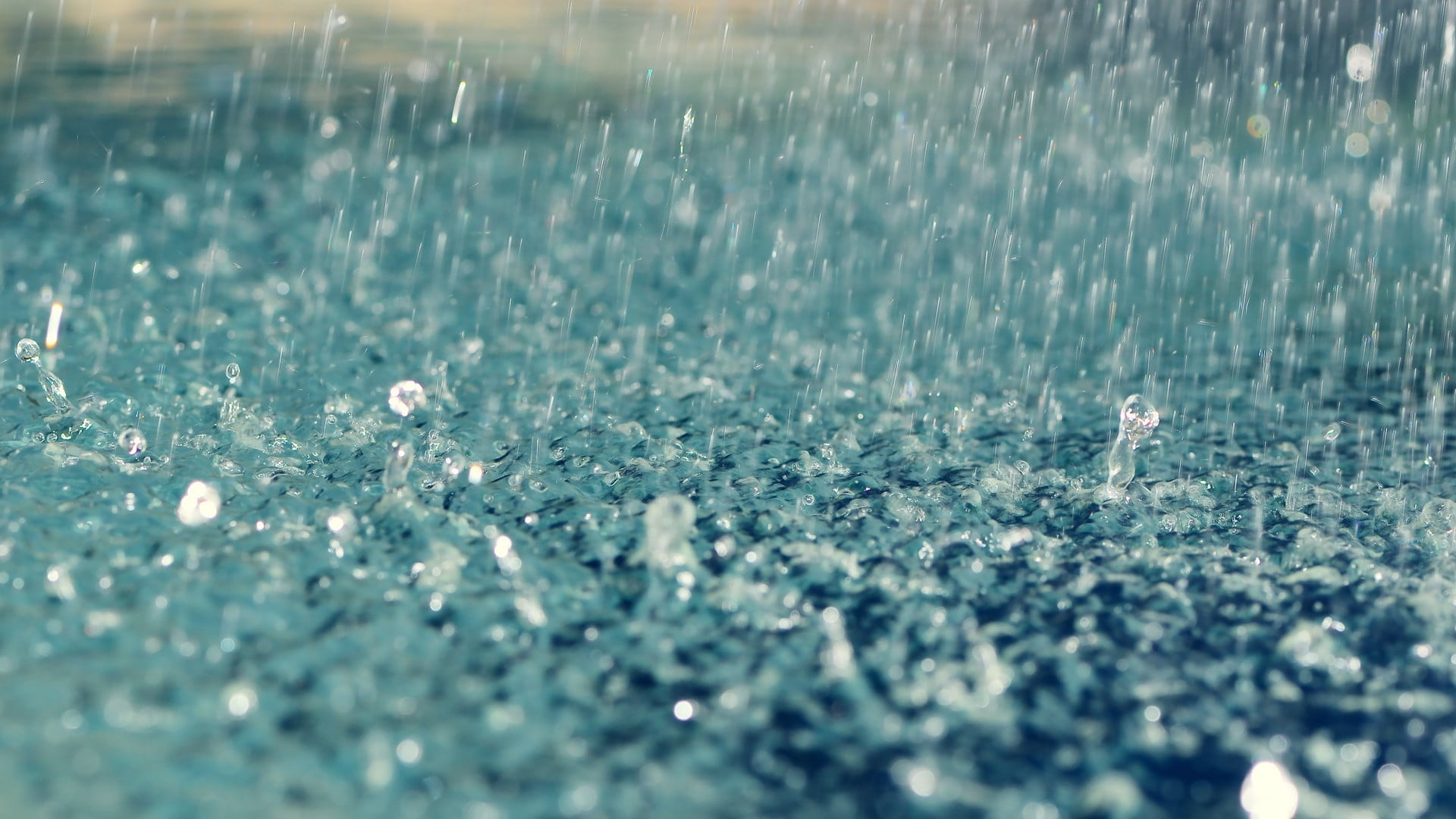 1920x1080 Rain drops, rain, depth of field, water, water drops HD wallpaper |