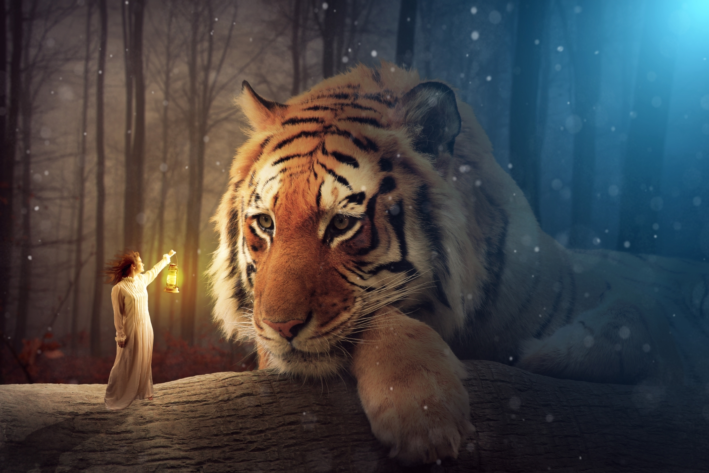 2400x1600 60+ Fantasy Tiger HD Wallpapers and Backgrounds
