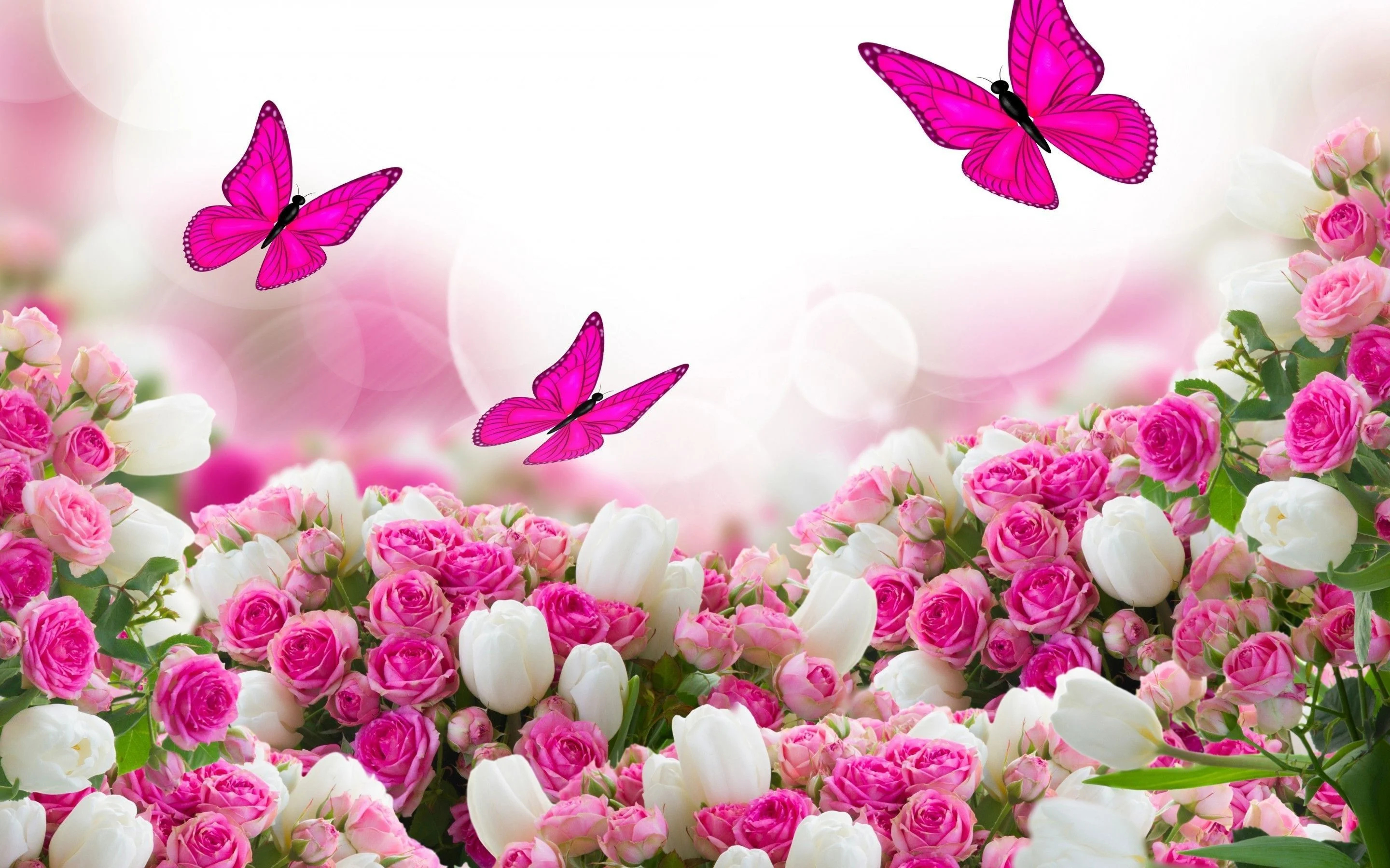 Pretty Flower Wallpapers and