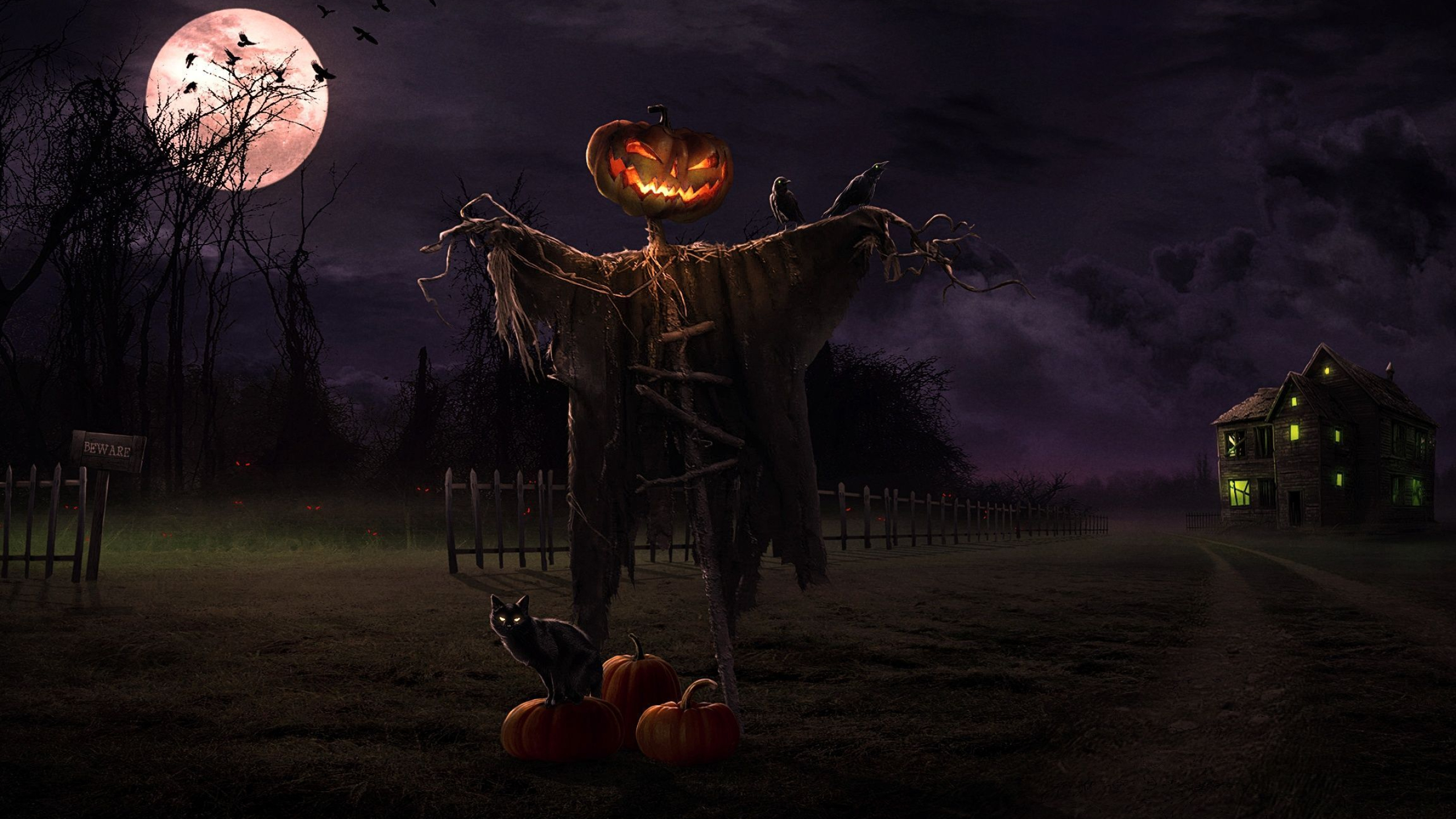 2560x1440 Halloween Scarecrow Wallpapers Top Free Halloween Scarecrow Backgrounds