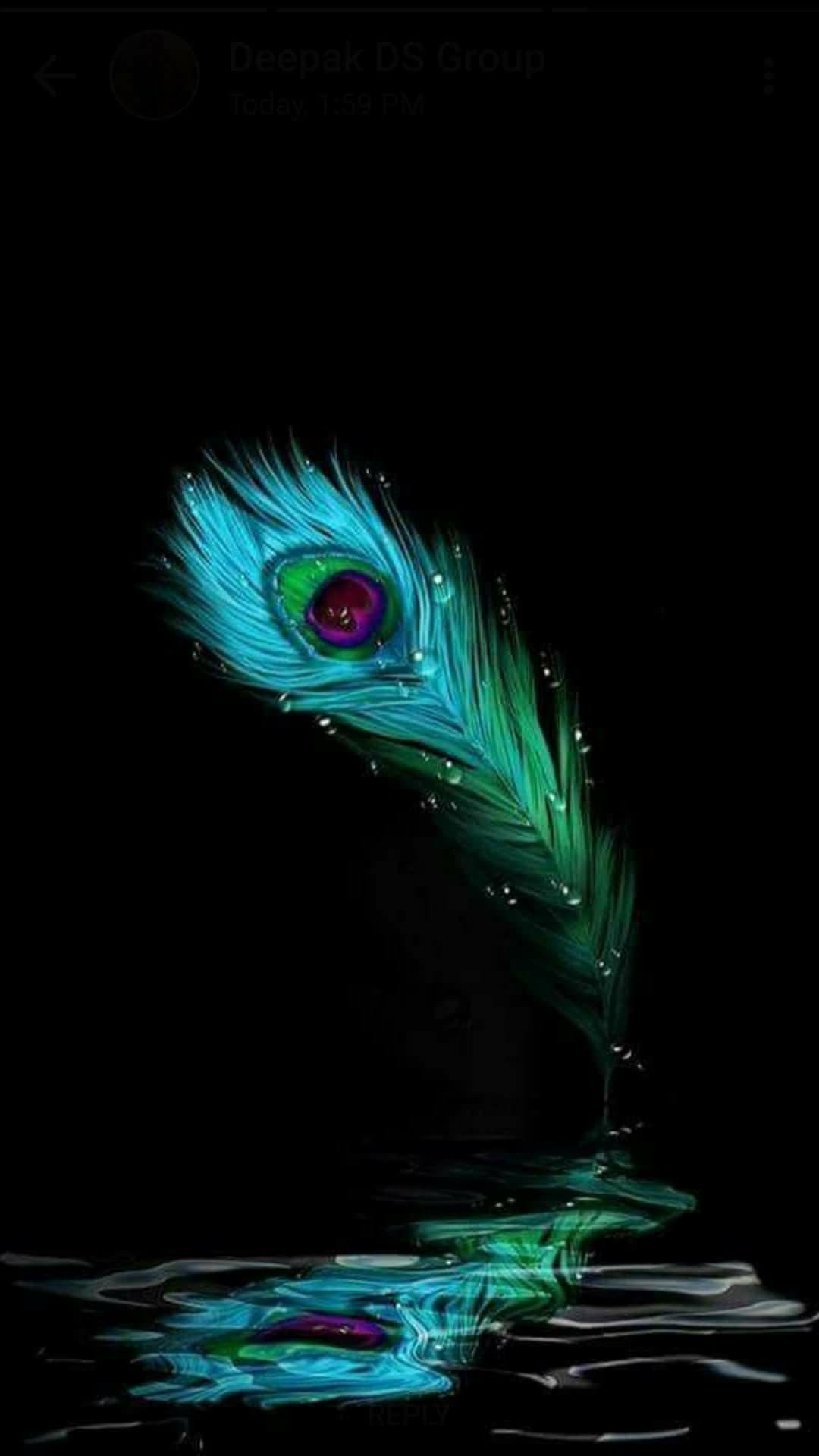 1080x1920 Flute And Peacock Feather Wallpapers