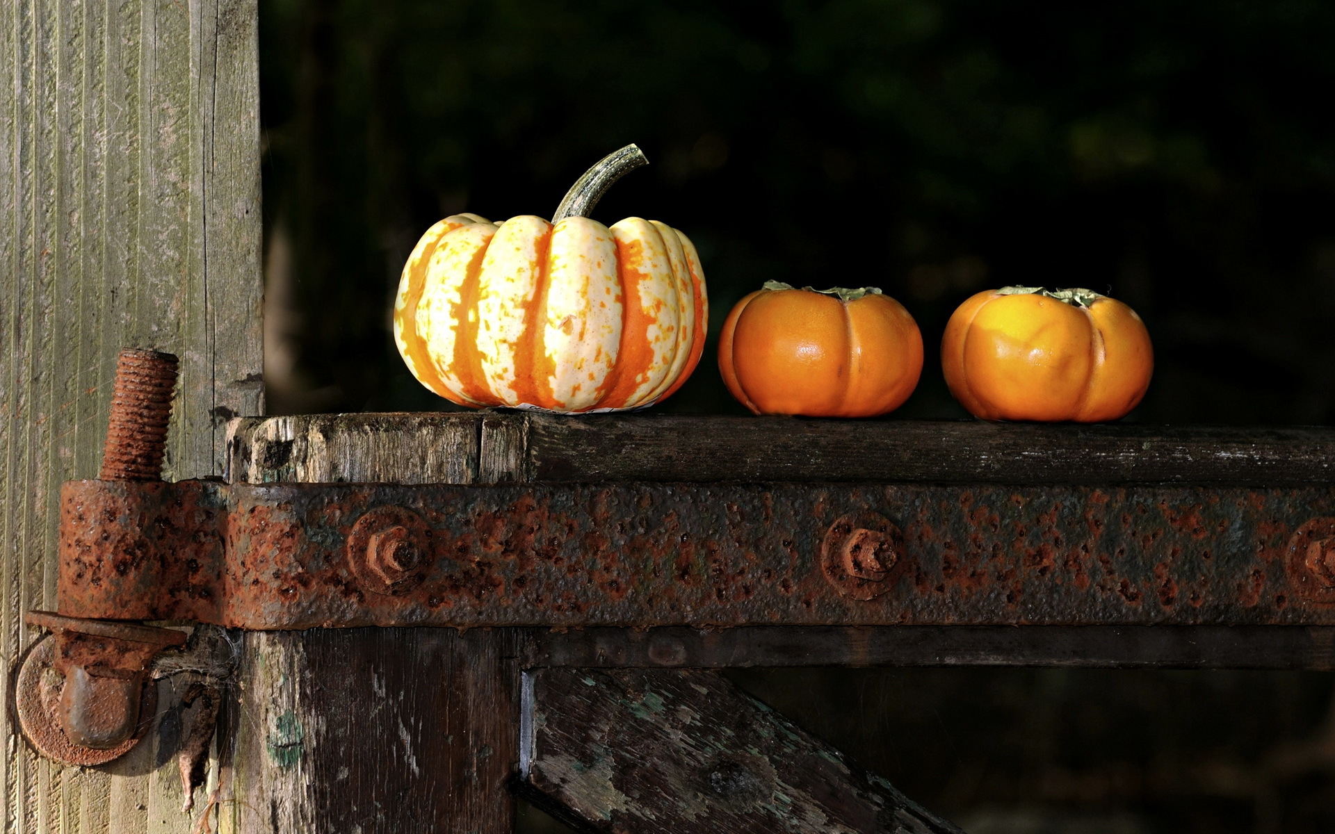 1920x1200 60+ Pumpkin HD Wallpapers and Backgrounds