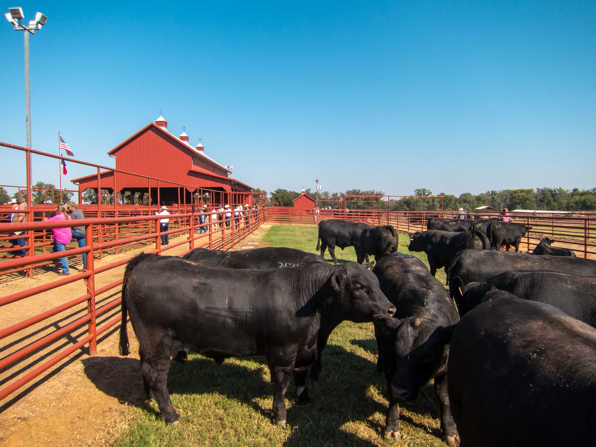 2048x1536 Adapt or die: A central Texas cattle ranch changes with the times