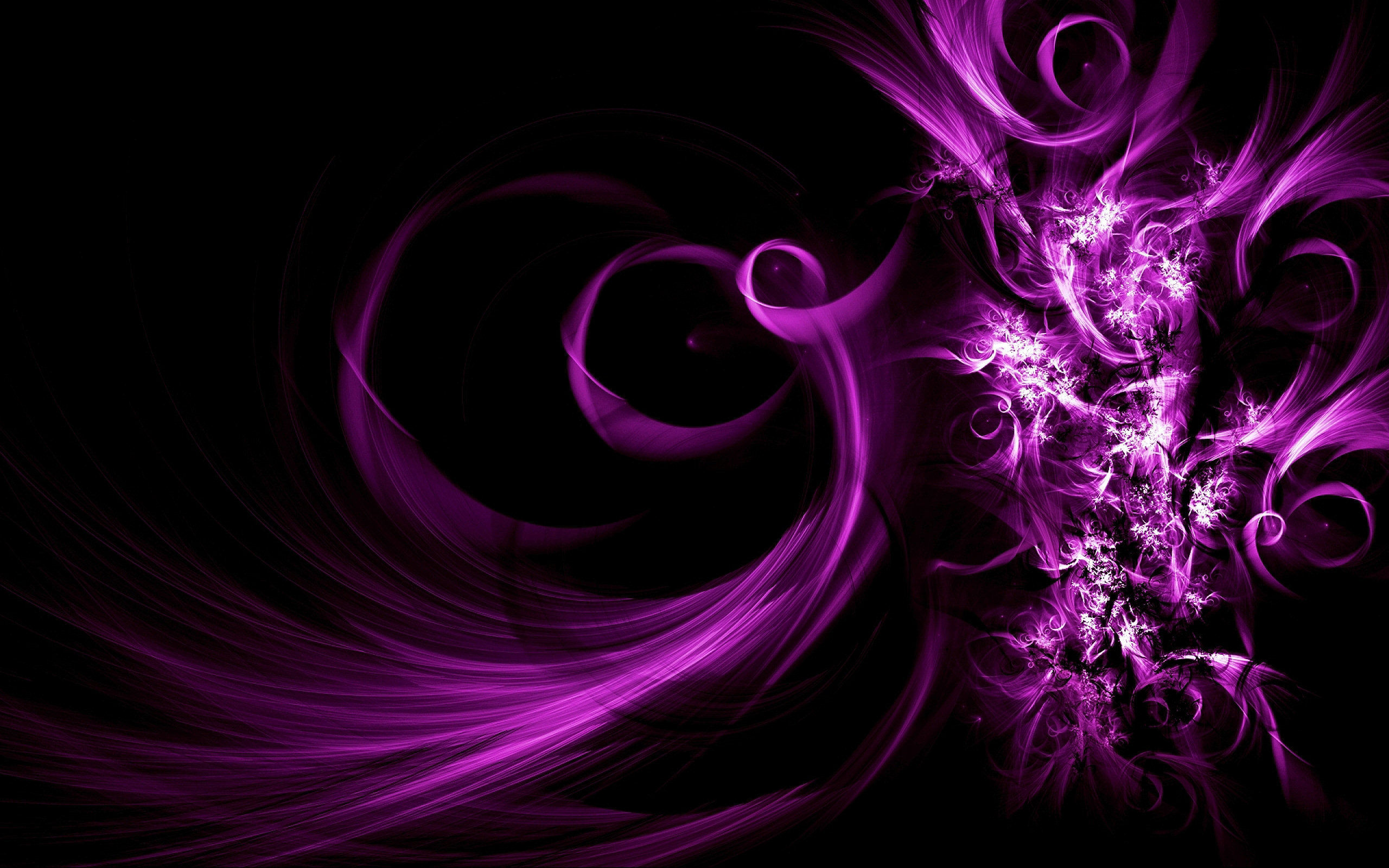 2560x1600 50+ Violet HD Wallpapers and Backgrounds