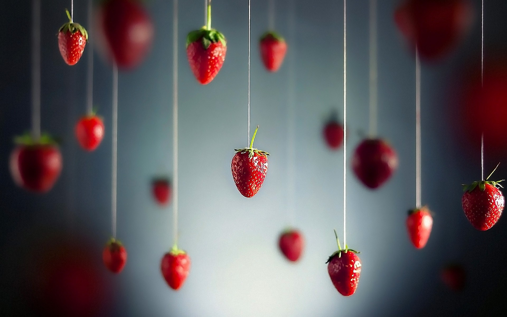 1920x1200 Minimalistic Fruits Hanging Strawberry Wallpaper [