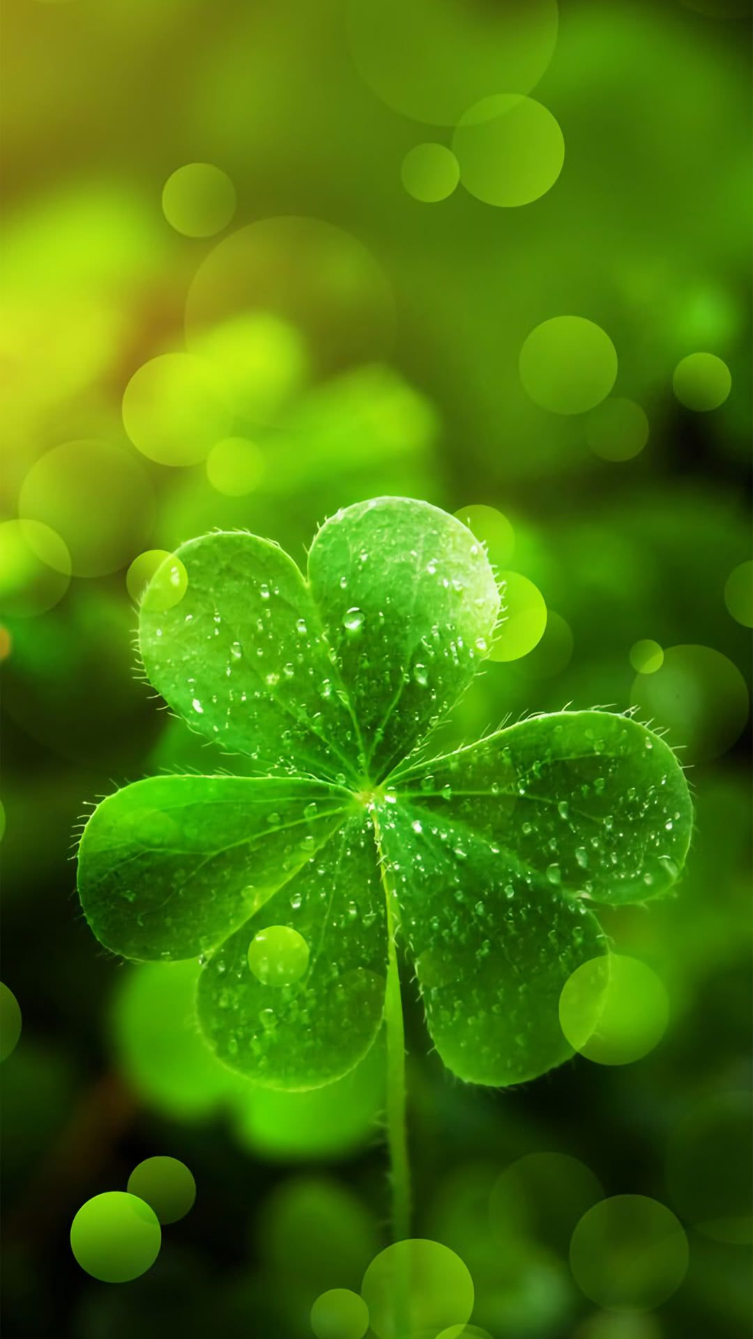 1080x1920 Shamrock iPhone Wallpapers Top Free Shamrock iPhone Backgrounds