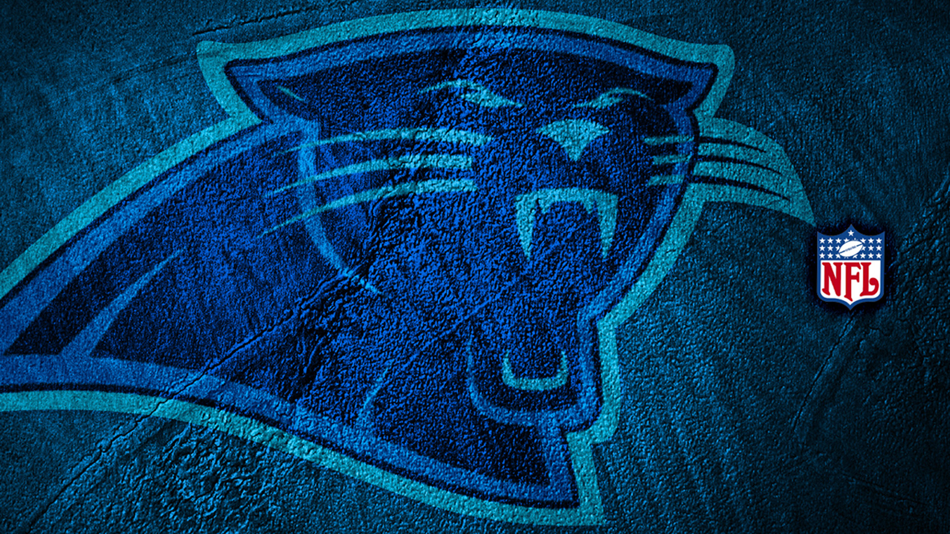 1920x1080 Carolina Panthers HD Wallpaper