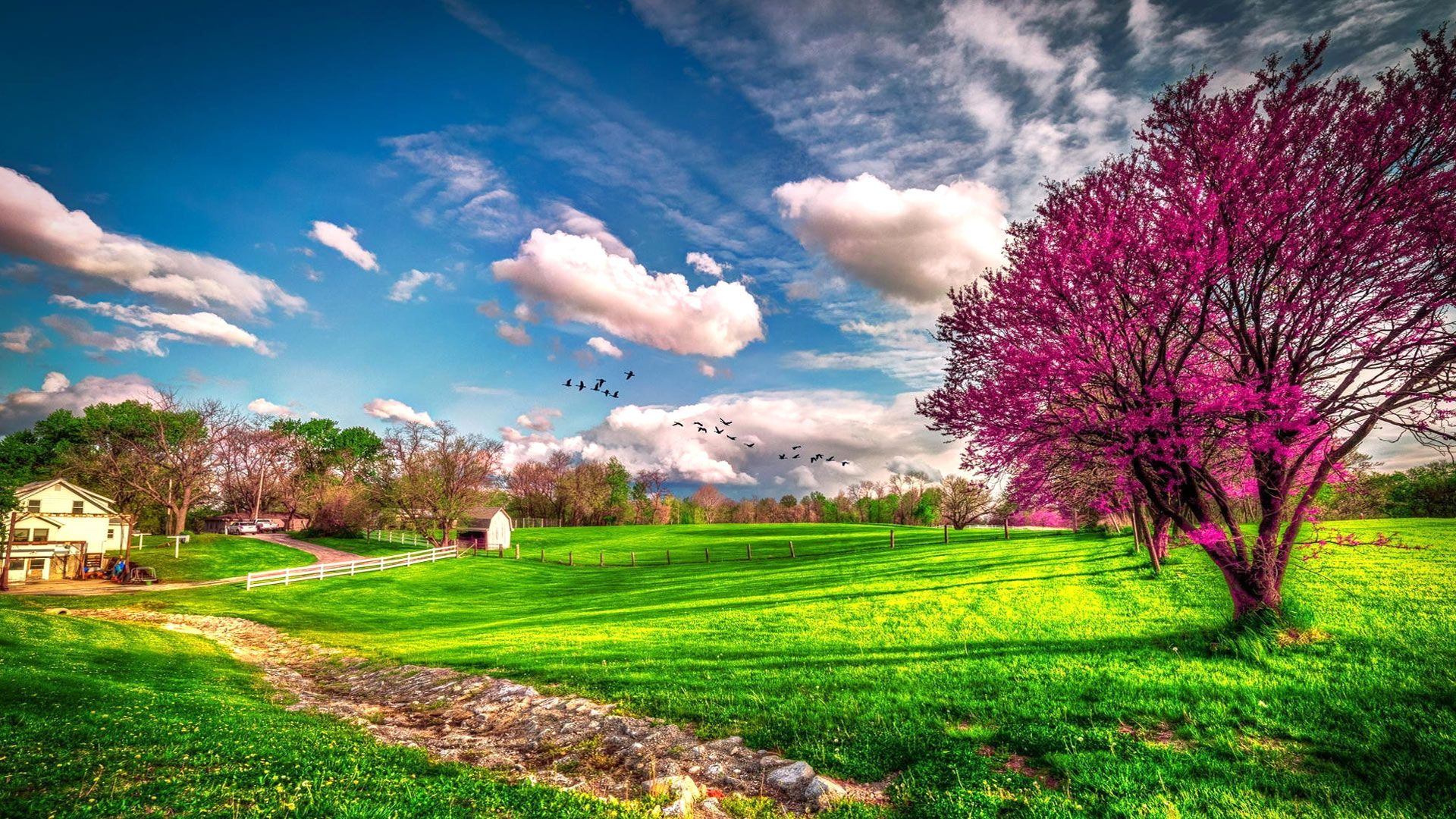 1920x1080 Most Beautiful Spring Wallpapers
