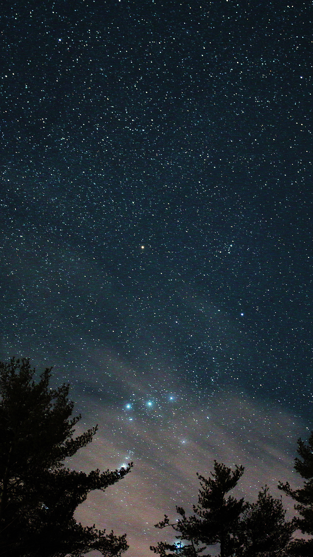 1242x2208 | iPhone11 wallpaper | ni85-night-sky-star-wood-space- starry-blue-dark