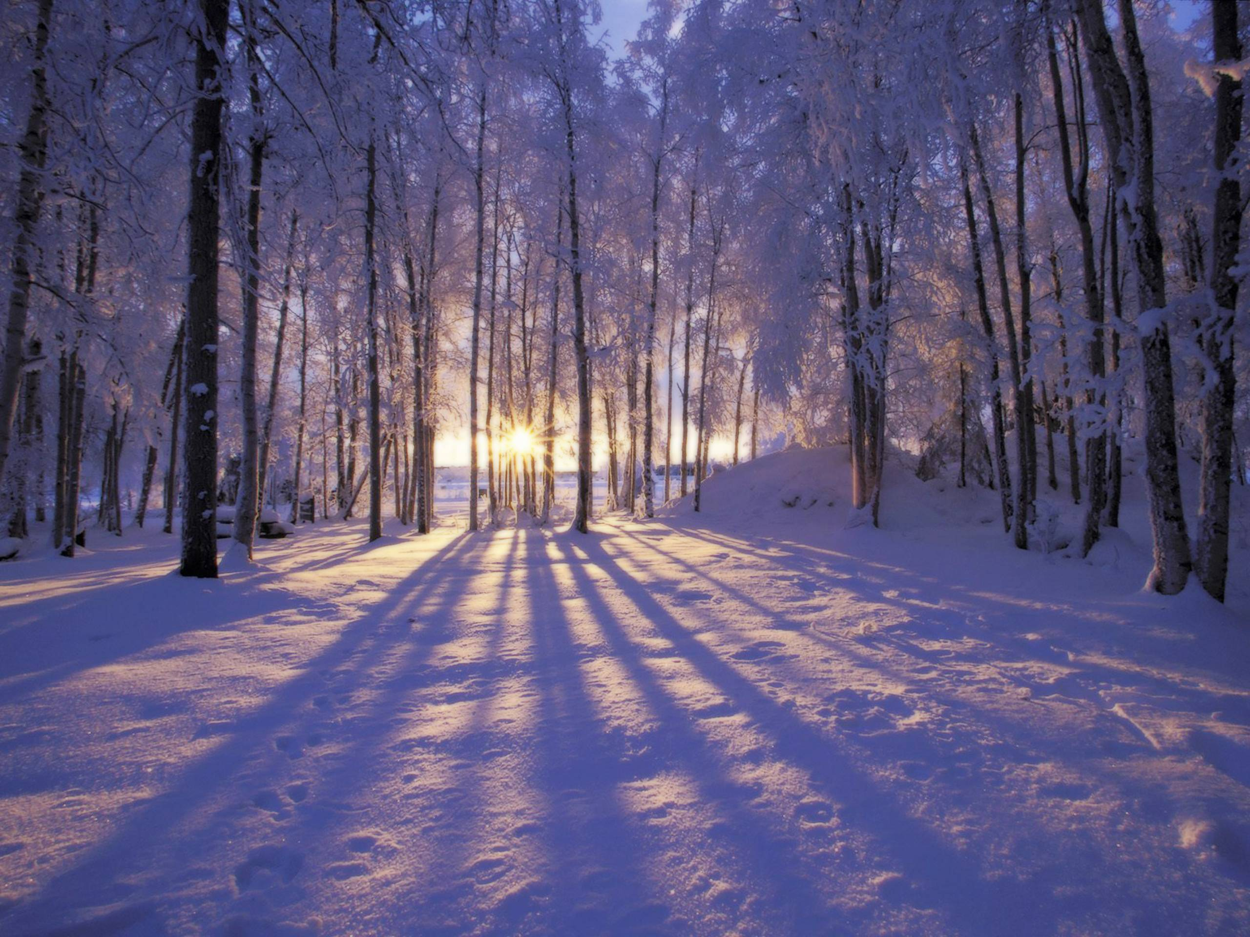 2560x1920 Winter Scenery Wallpapers Top Free Winter Scenery Backgrounds