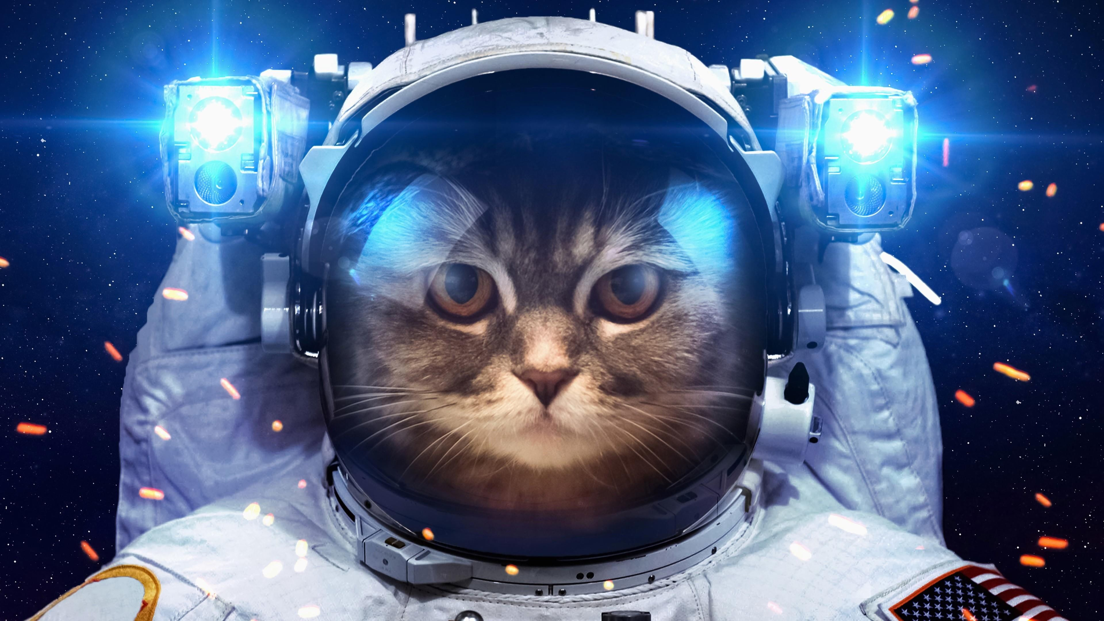 3840x2160 cat #funny #spacesuit #space #light #4K #wallpaper #hdwallpaper #desktop | Astronaut cat, Space cat, Cats