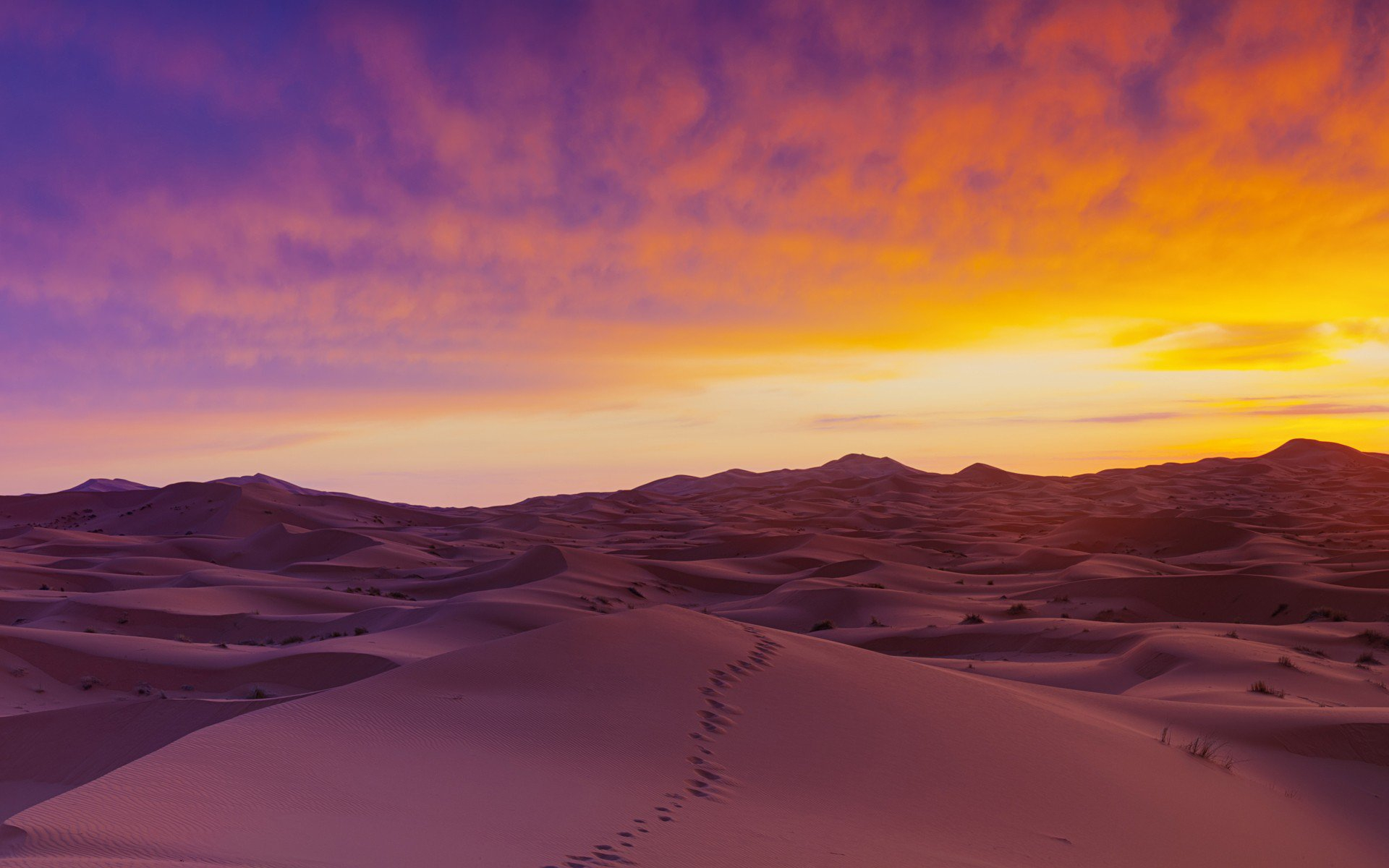 1920x1200 Sahara Desert Sand Dunes, HD Nature, 4k Wallpapers, Images, Backgrounds, Photos and Pictures
