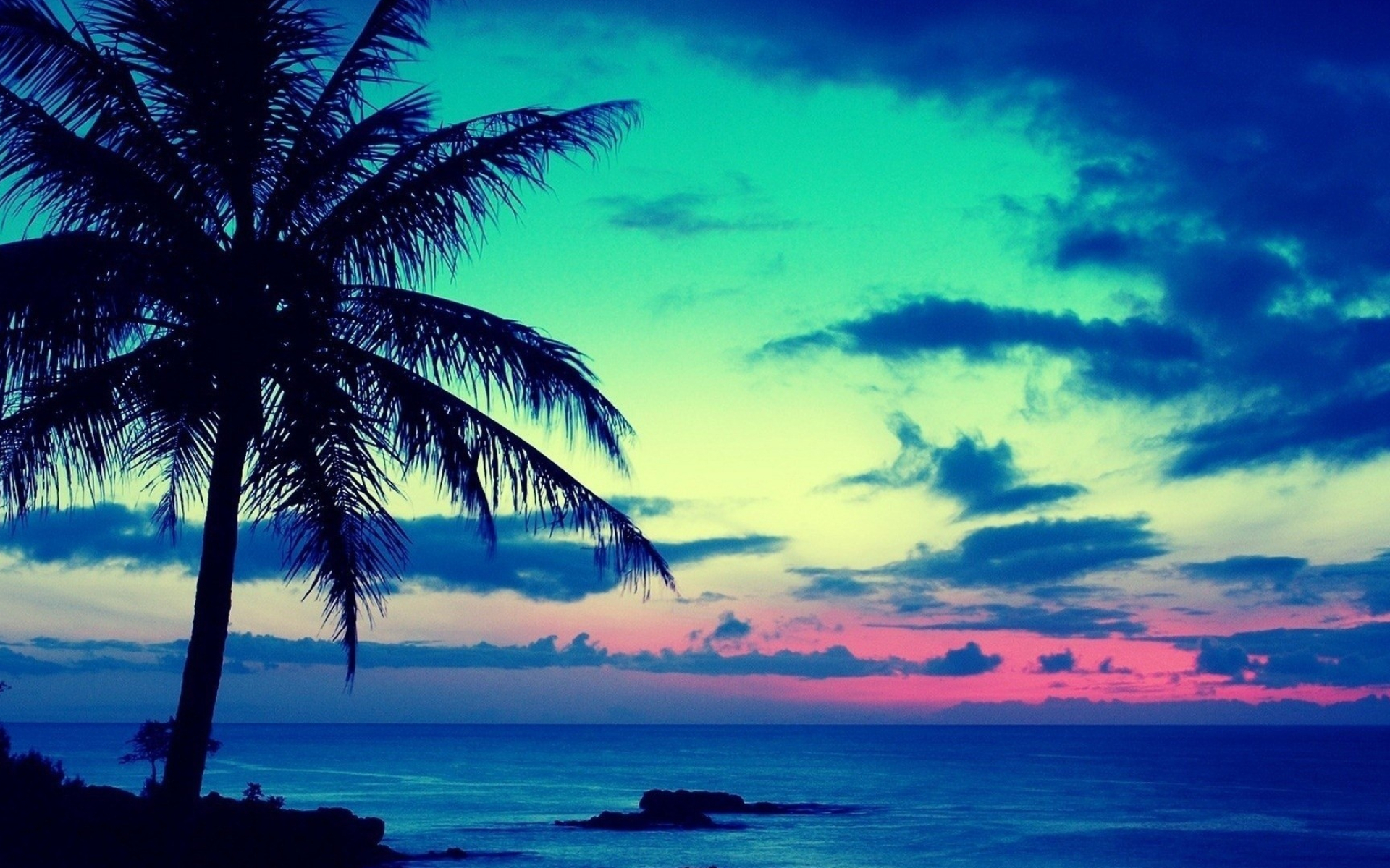 1920x1200 Tropical Wallpapers (69+ pictures