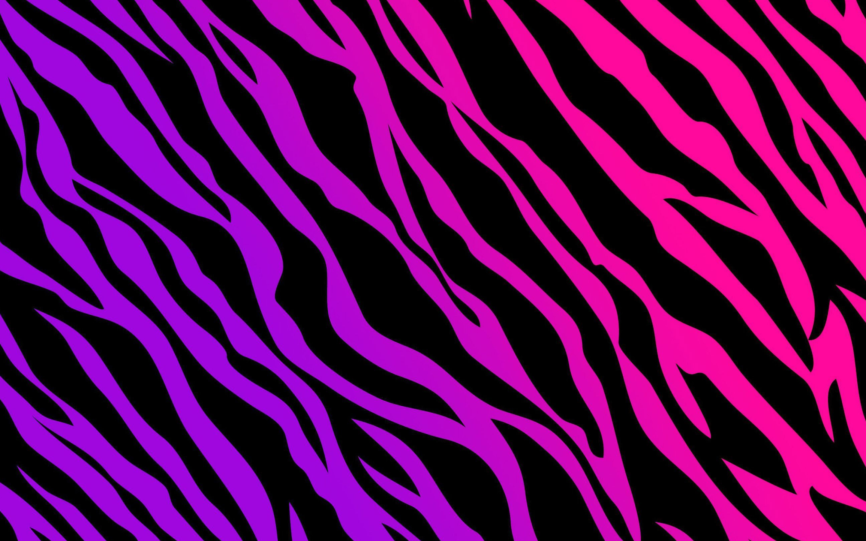 2880x1800 Pink Zebra Wallpapers Top Free Pink Zebra Backgrounds
