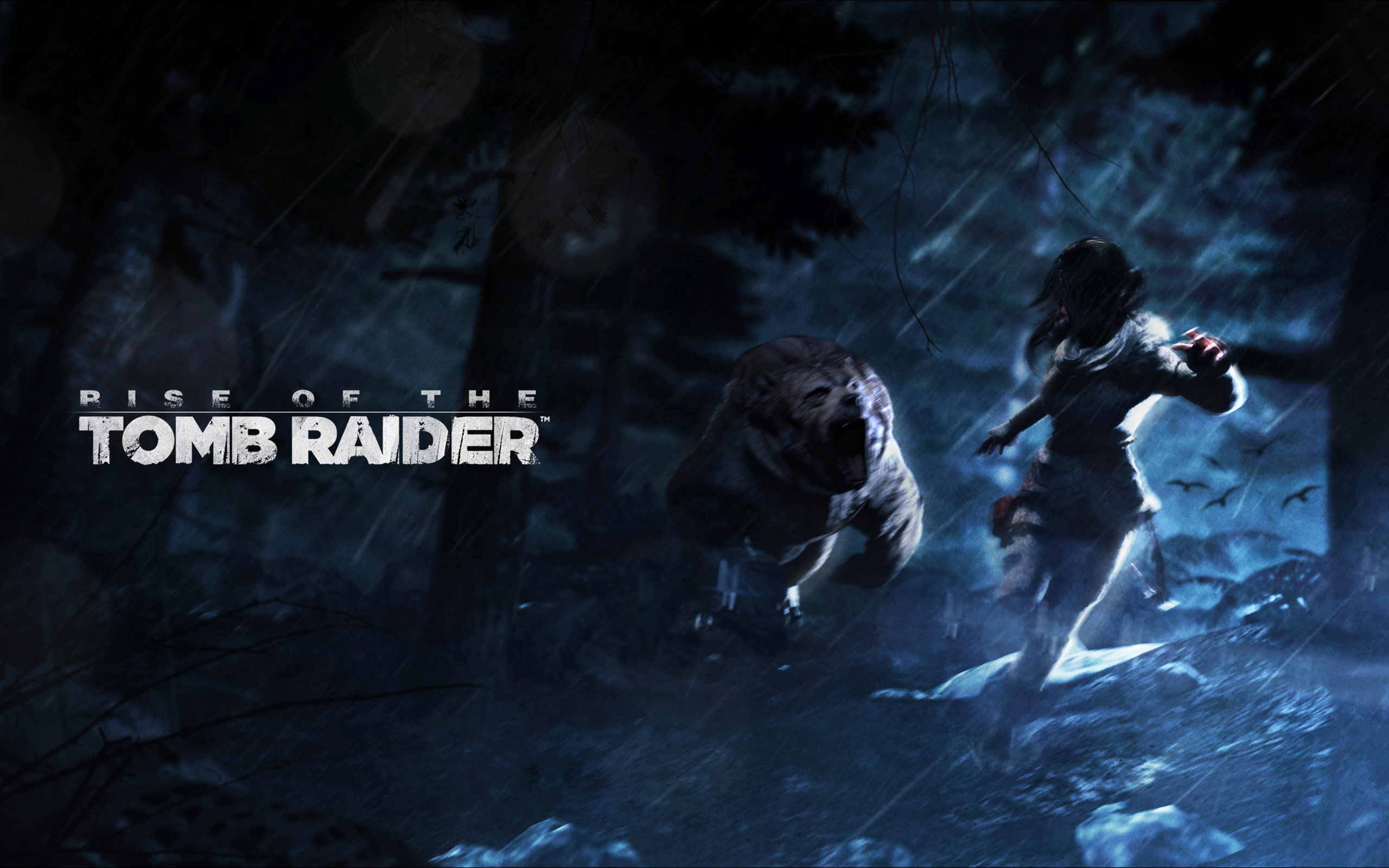 2560x1600 Rise of the Tomb Raider HD Wallpaper