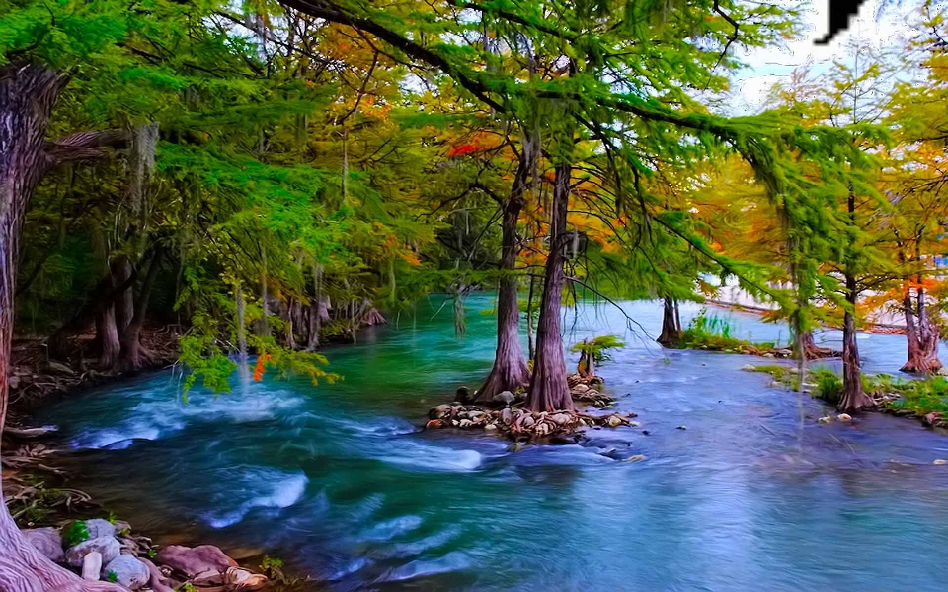 1920x1200 Beautiful Hd Wallpaper Mountain River With Turquoise Green Water, Pine Trees, Stone Free Download For Windows #1080P &acirc;&#128;&brvbar; | Beautiful wallpaper hd, Hd wallpaper, River