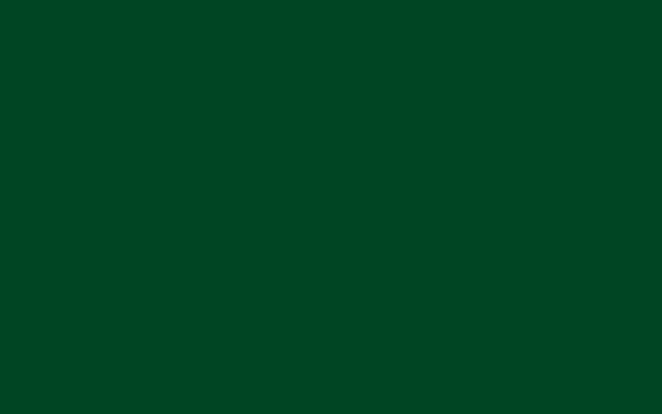 2560x1600 UP Forest Green Solid Color Background