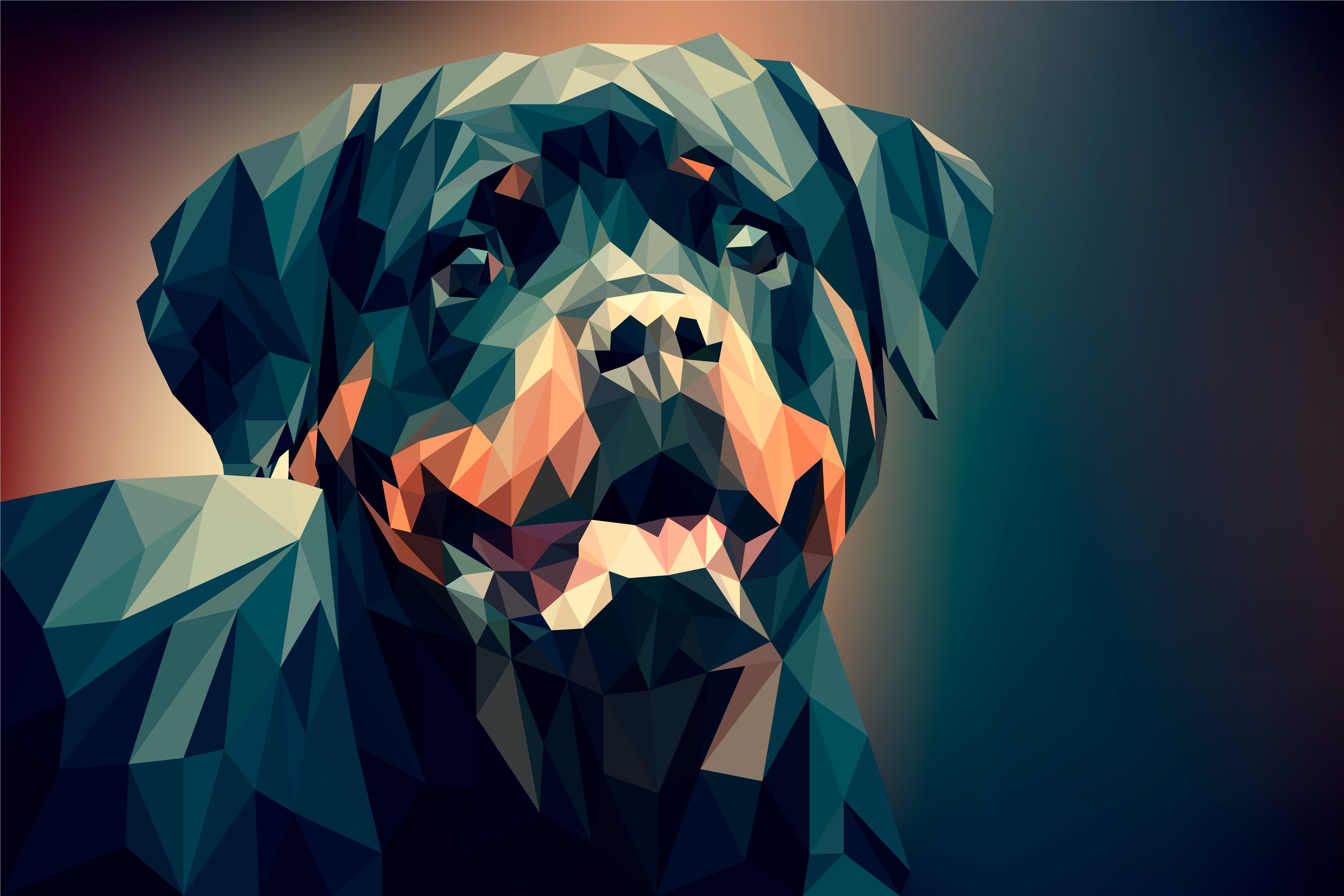 3000x2000 Rottweiler HD Wallpapers and Backgrounds
