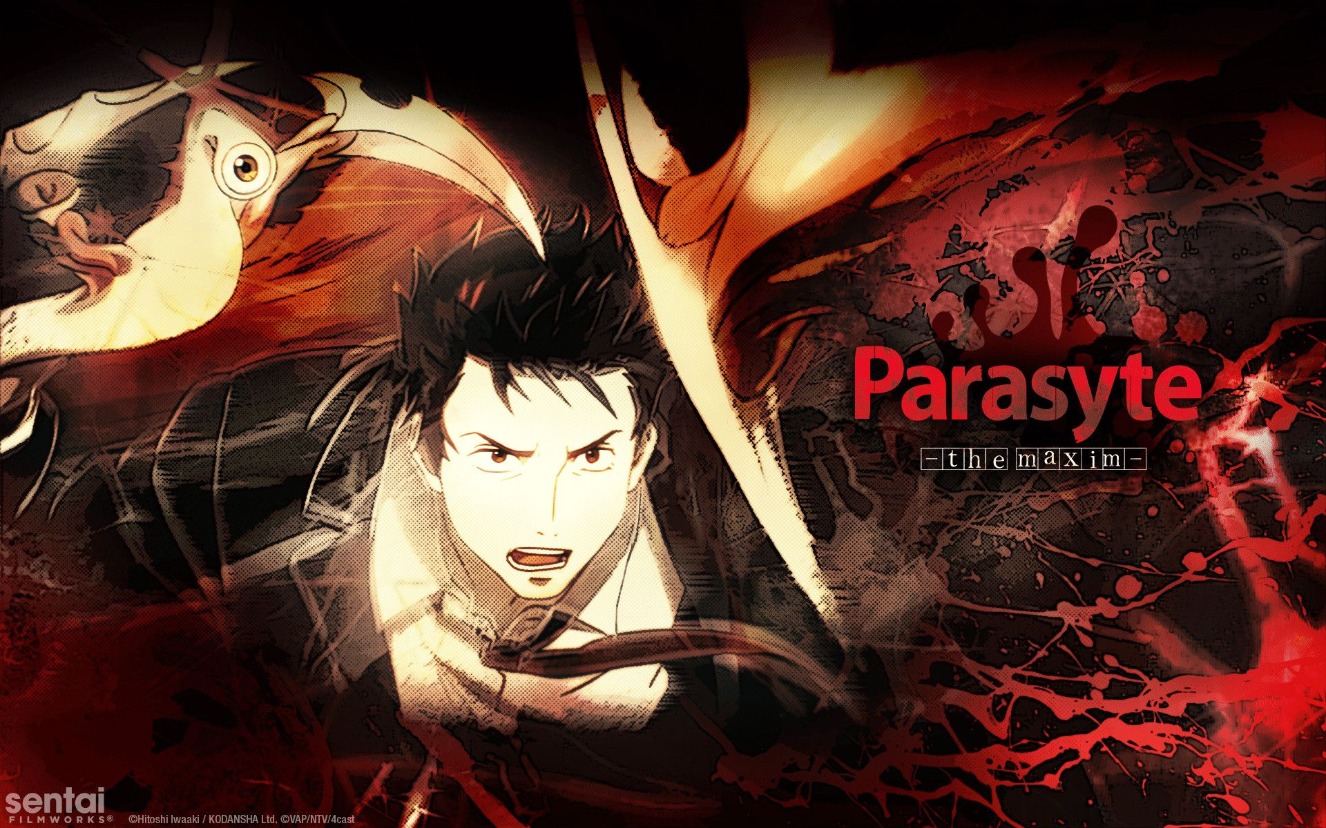 1920x1200 Parasyte Wallpapers Top Free Parasyte Backgrounds