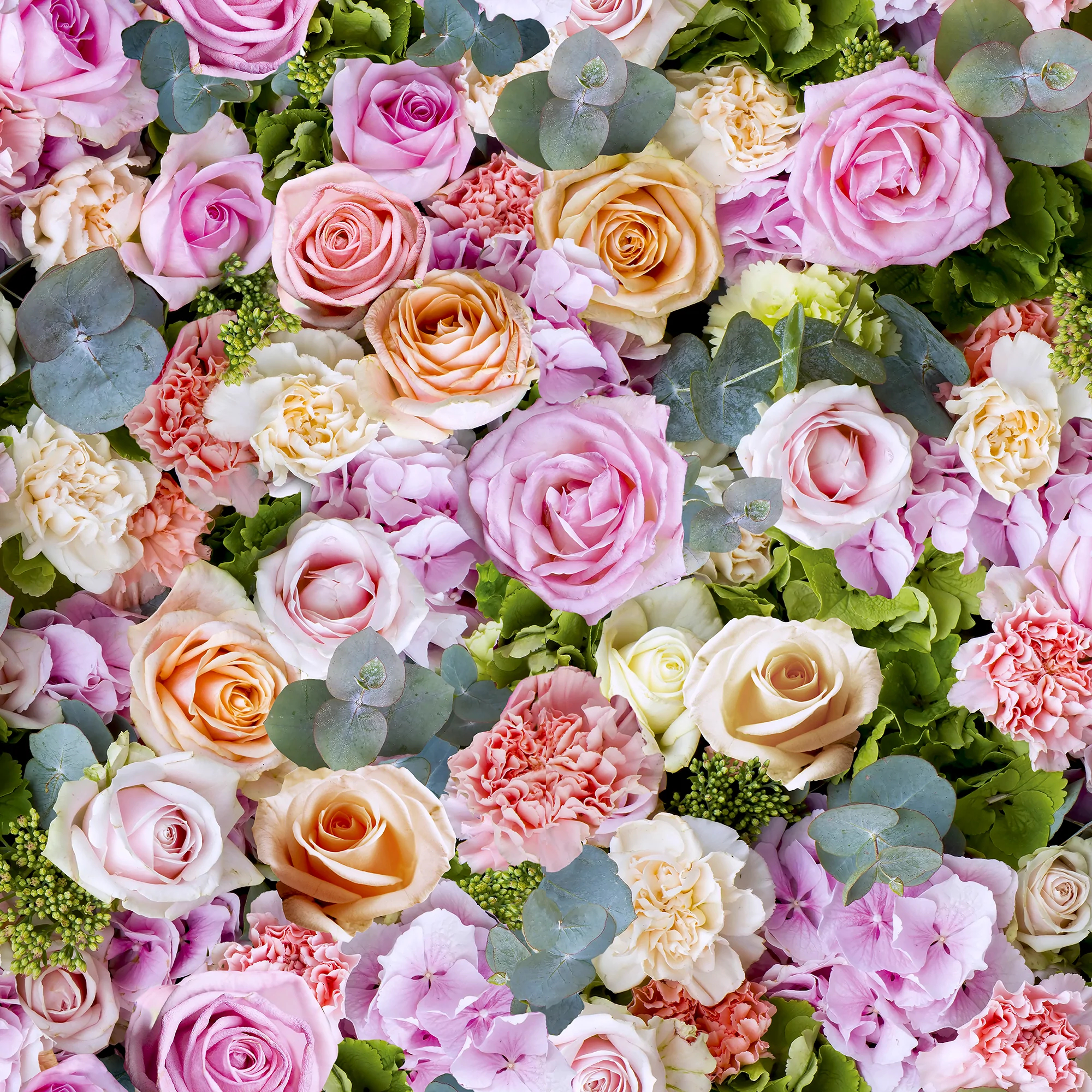 2000x2000 Spring Pink and Multi Photographic Rose Flowers Wallpaper 908006