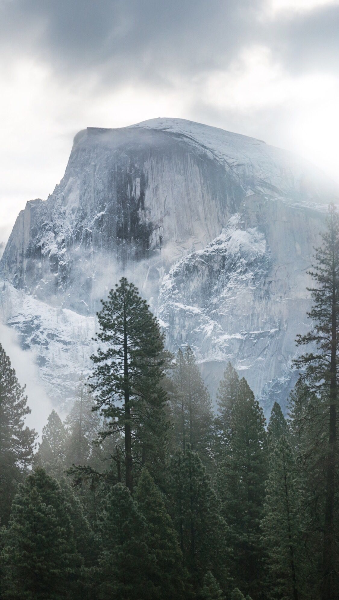 1125x1989 Apple Yosemite Wallpaper IPhone 6 plus | Yosemite wallpaper, Nature wallpaper, Iphone 6 wallpaper backgrounds