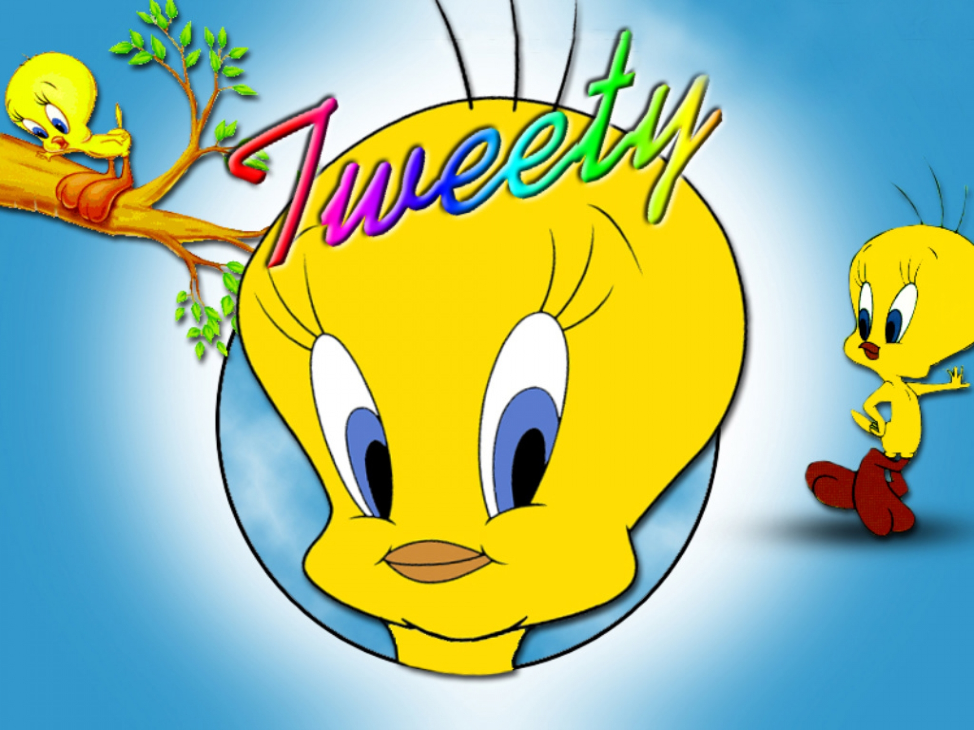 1920x1440 tweety, Looney, Tunes Wallpapers HD / Desktop and Mobile Backgrounds