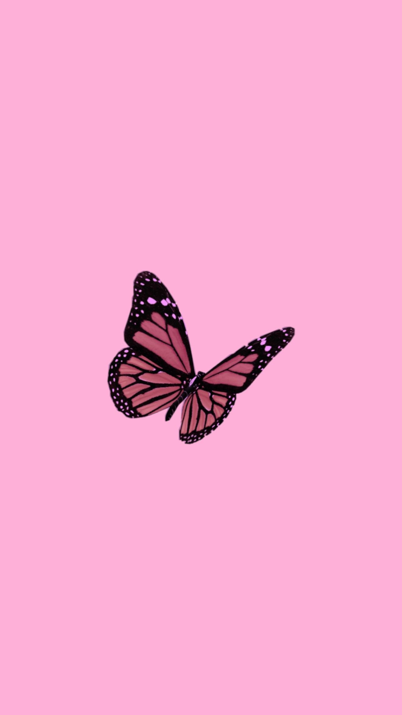 1288x2289 Aesthetic Butterfly Wallpapers