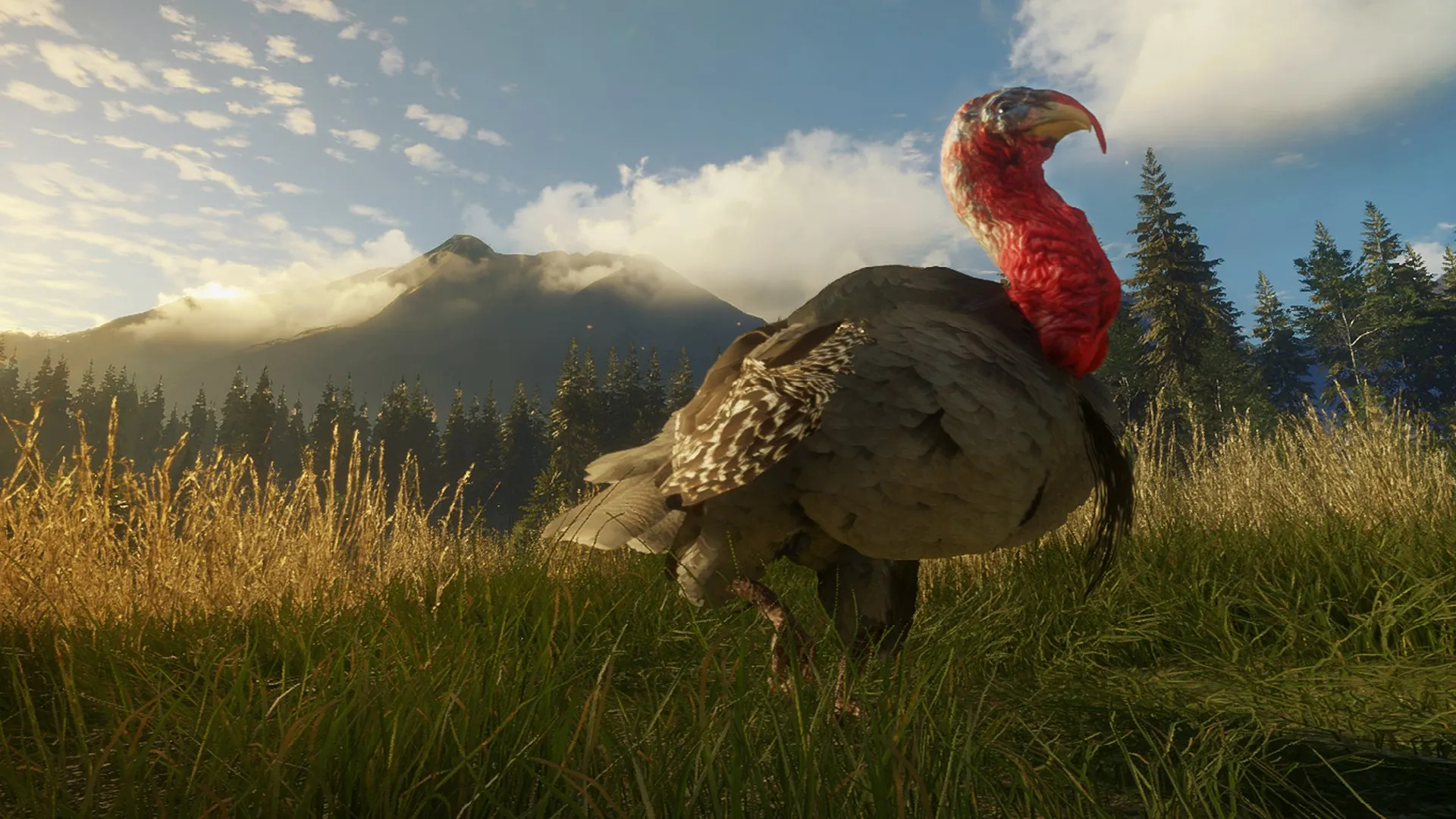 1920x1080 Go turkey tracking in the Rockys with theHunter Call of the Wild Silver Ridge Peaks DLC | TheXboxHub