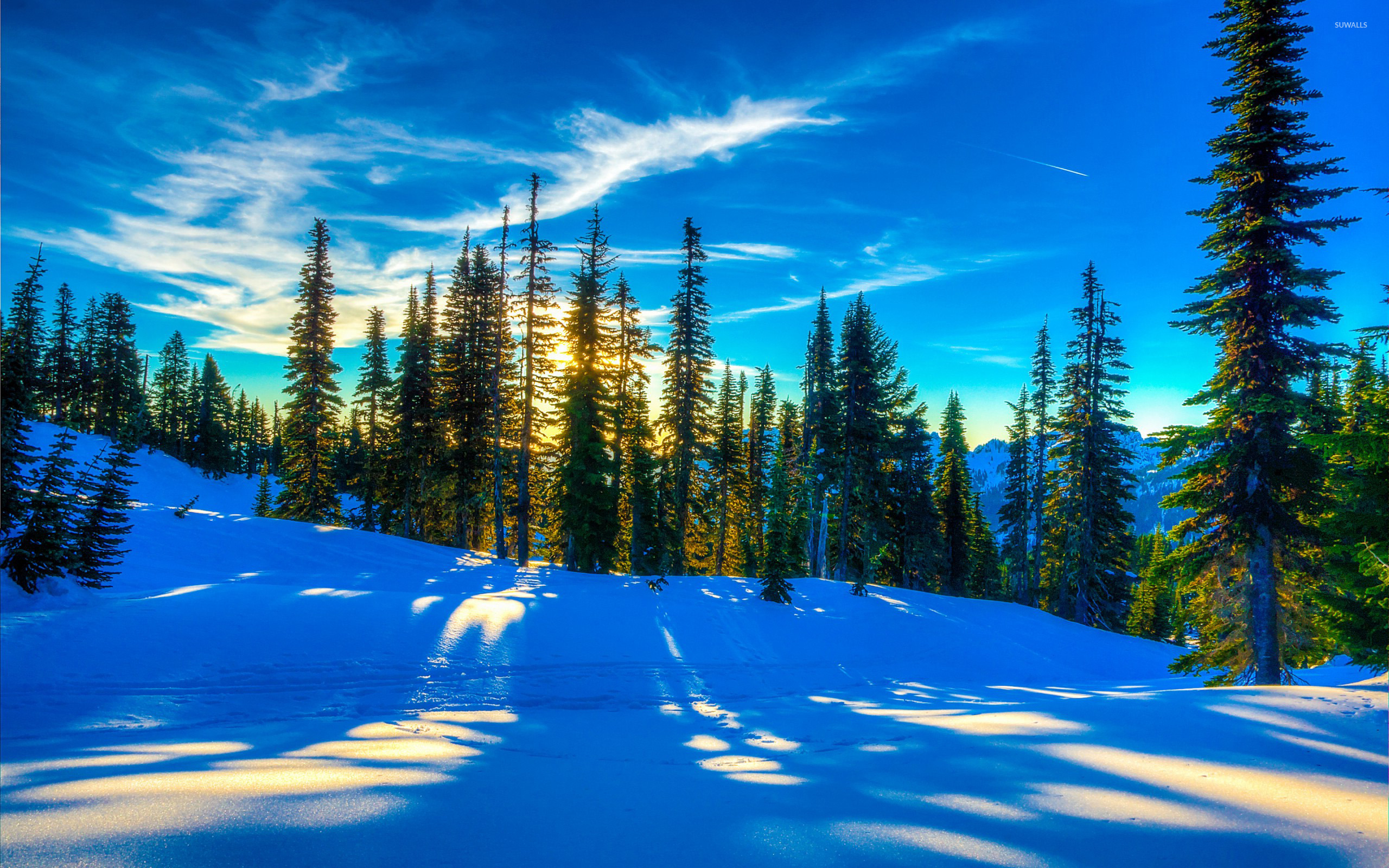 2560x1600 Snow Window Wallpapers Top Free Snow Window Backgrounds