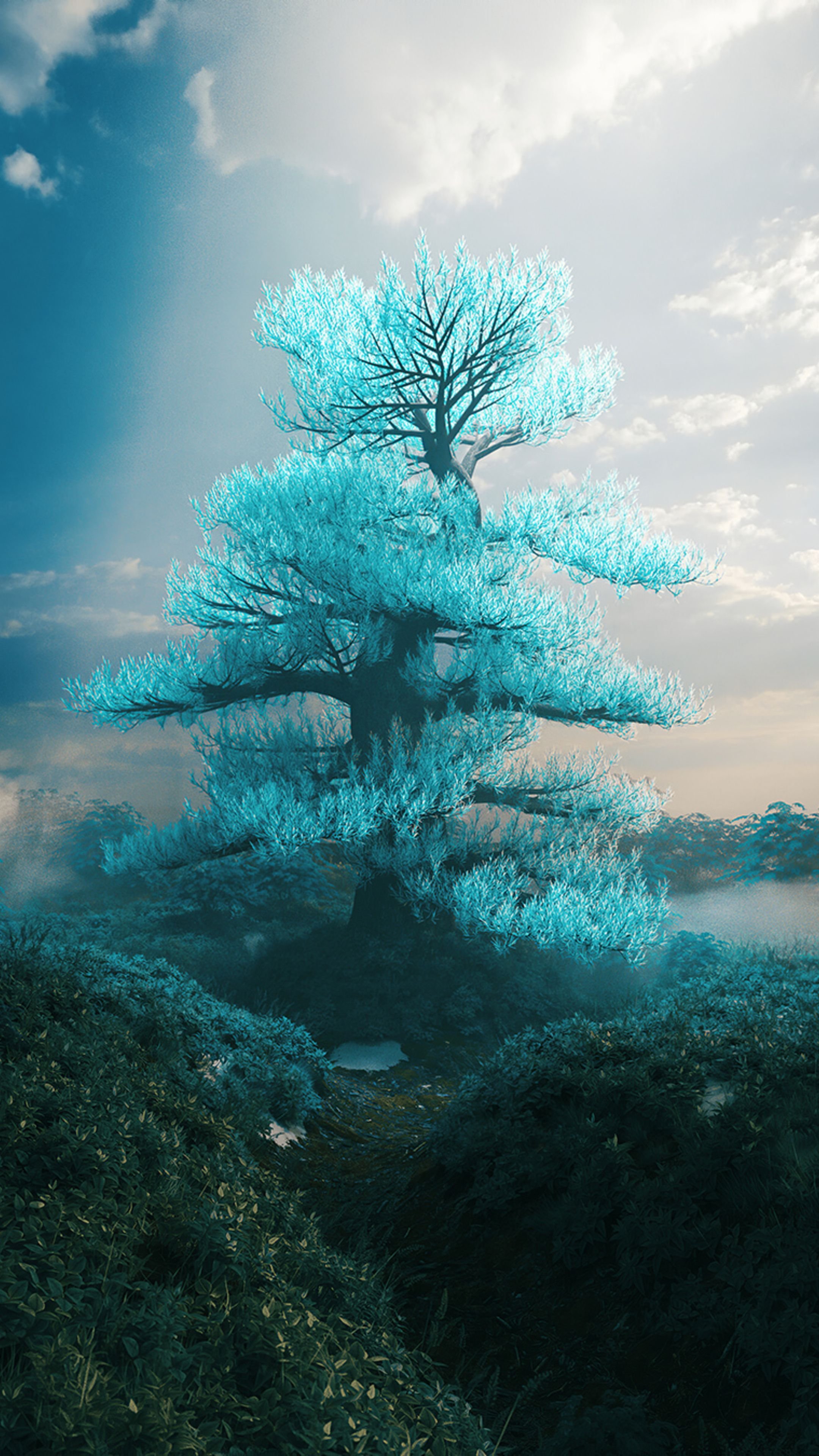 2160x3840 Peace Tree Wallpapers Top Free Peace Tree Backgrounds