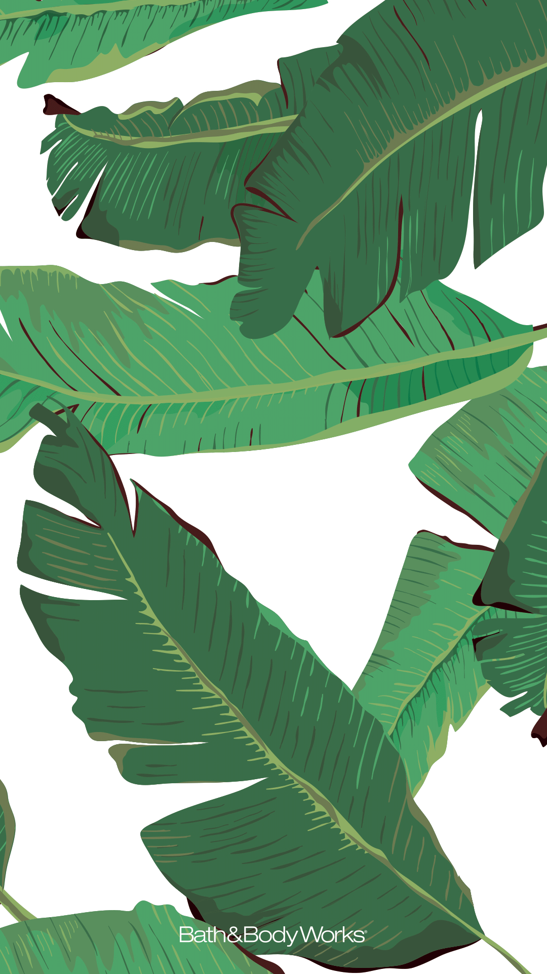 1080x1920 Palm Leaves iPhone Wallpaper Background | Pinturas murais decorativas, Planos de fundo, Bananeiras