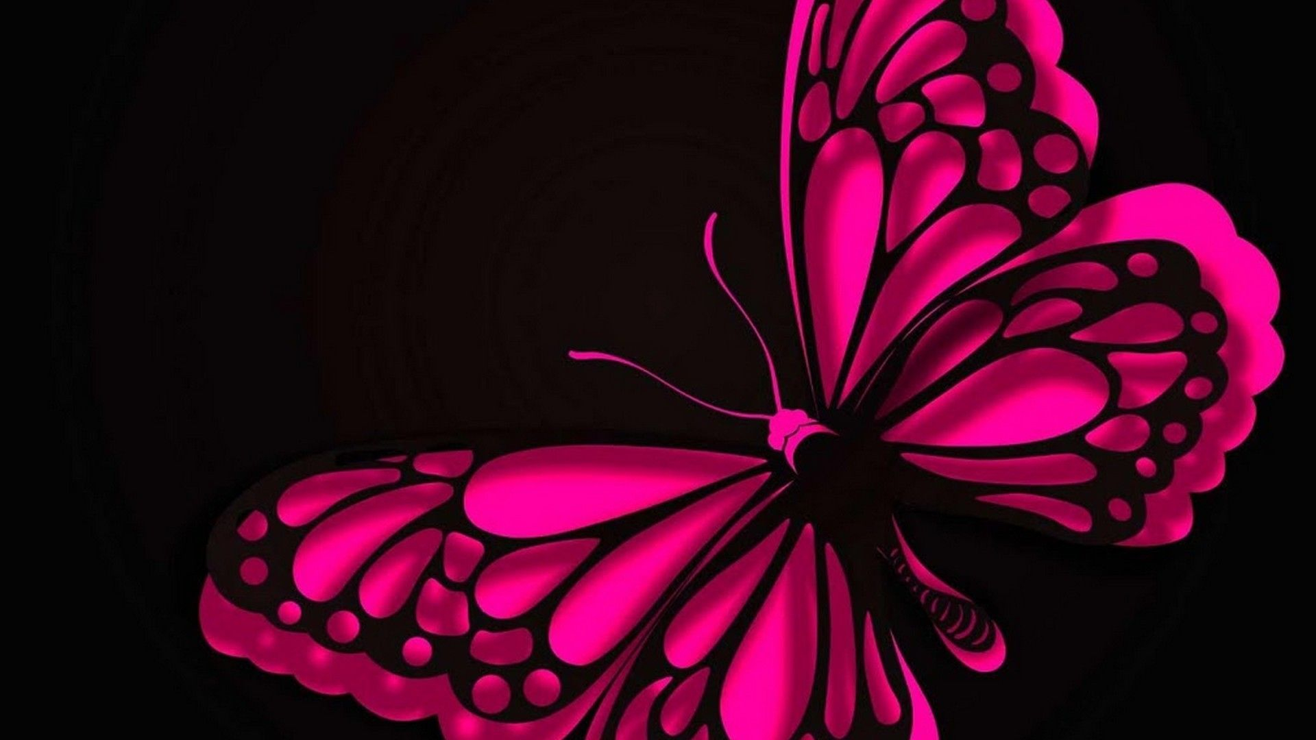 1920x1080 HD Wallpaper Pink Butterfly Live Wallpaper HD | Butterfly wallpaper, Butterfly wallpaper backgrounds, Butterfly screen saver