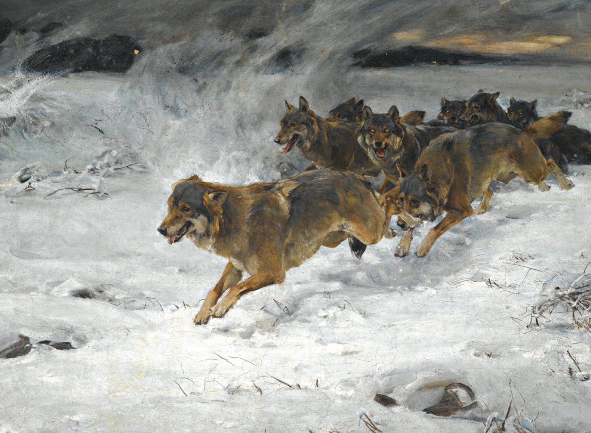1920x1408 Wolf Pack Running in the Snow by Alfred Kowalski