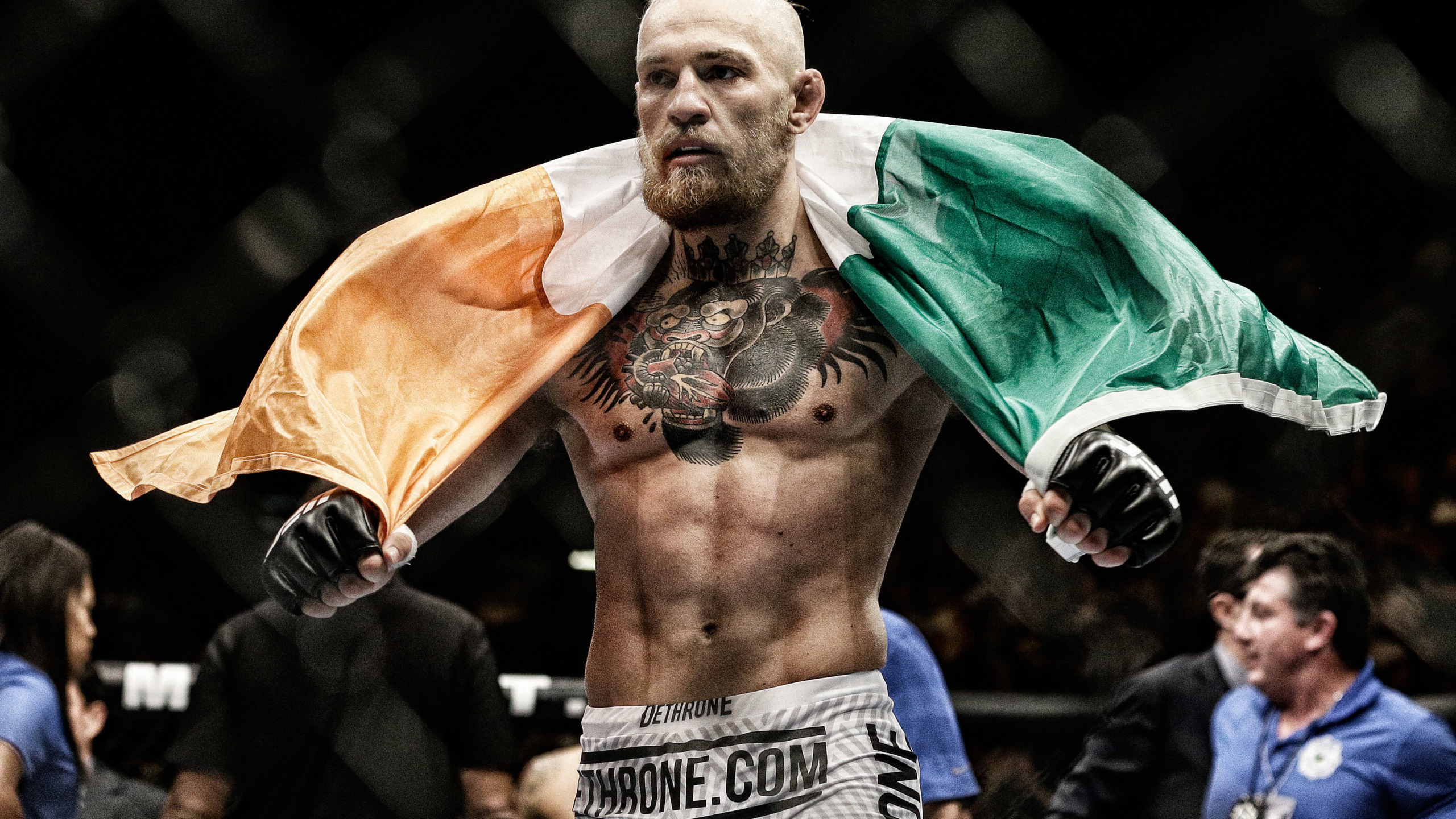 2560x1440 Download wallpaper UFC, Conor McGregor, Conor McGregor, section sports in resoluti