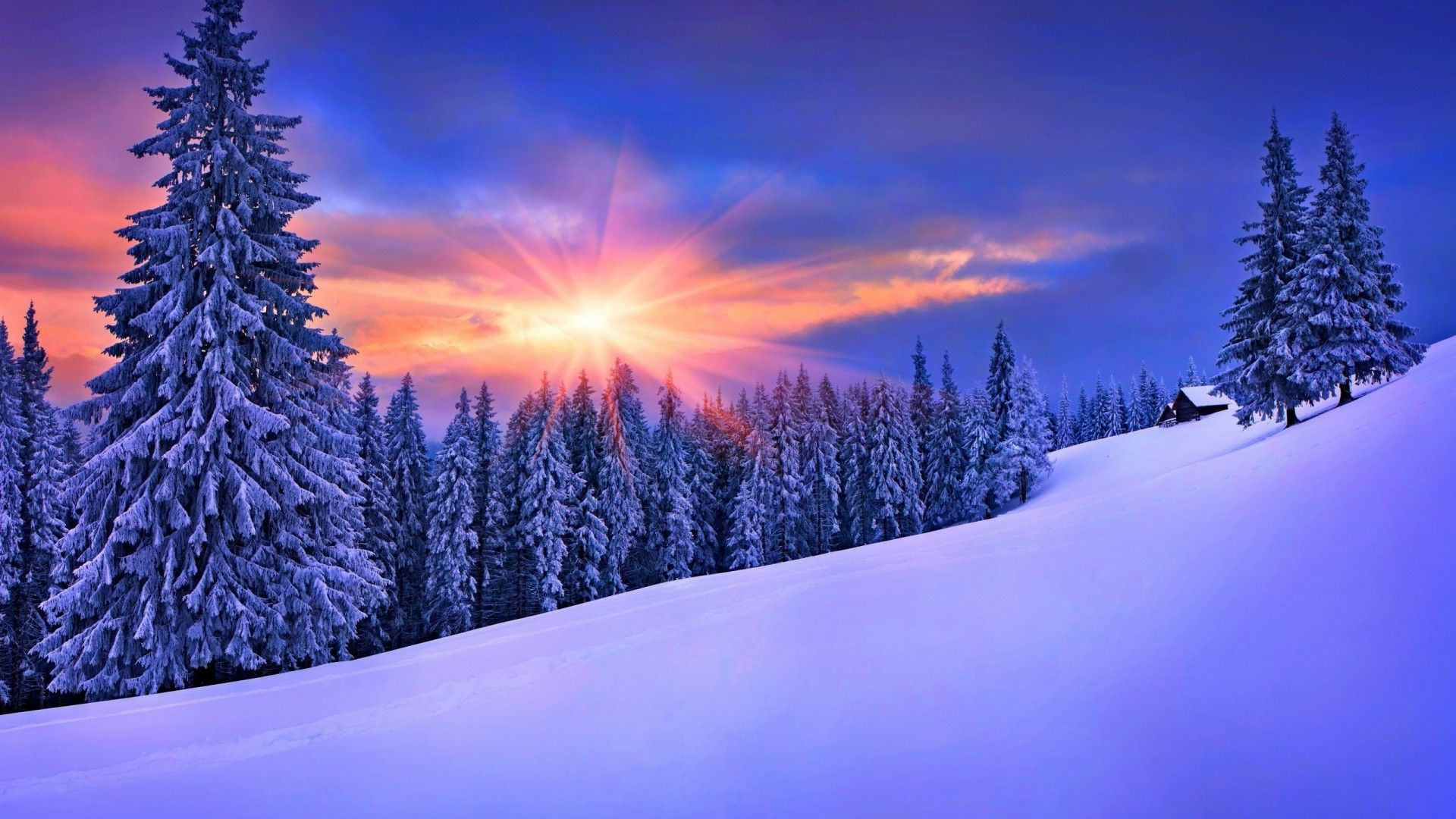 1920x1080 Winter Nature Wallpapers