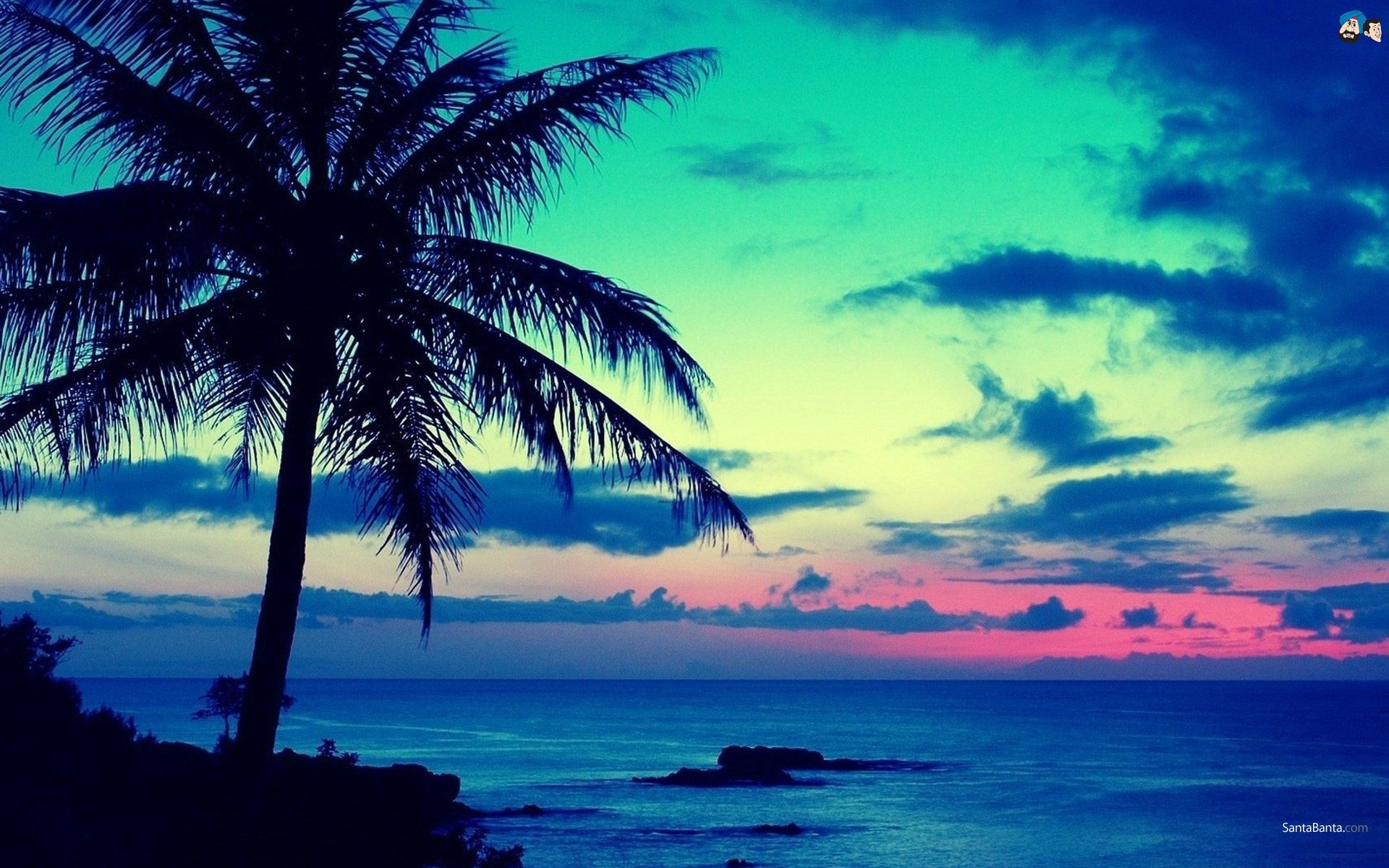 1920x1200 Tropical Sunrise Wallpapers Top Free Tropical Sunrise Backgrounds