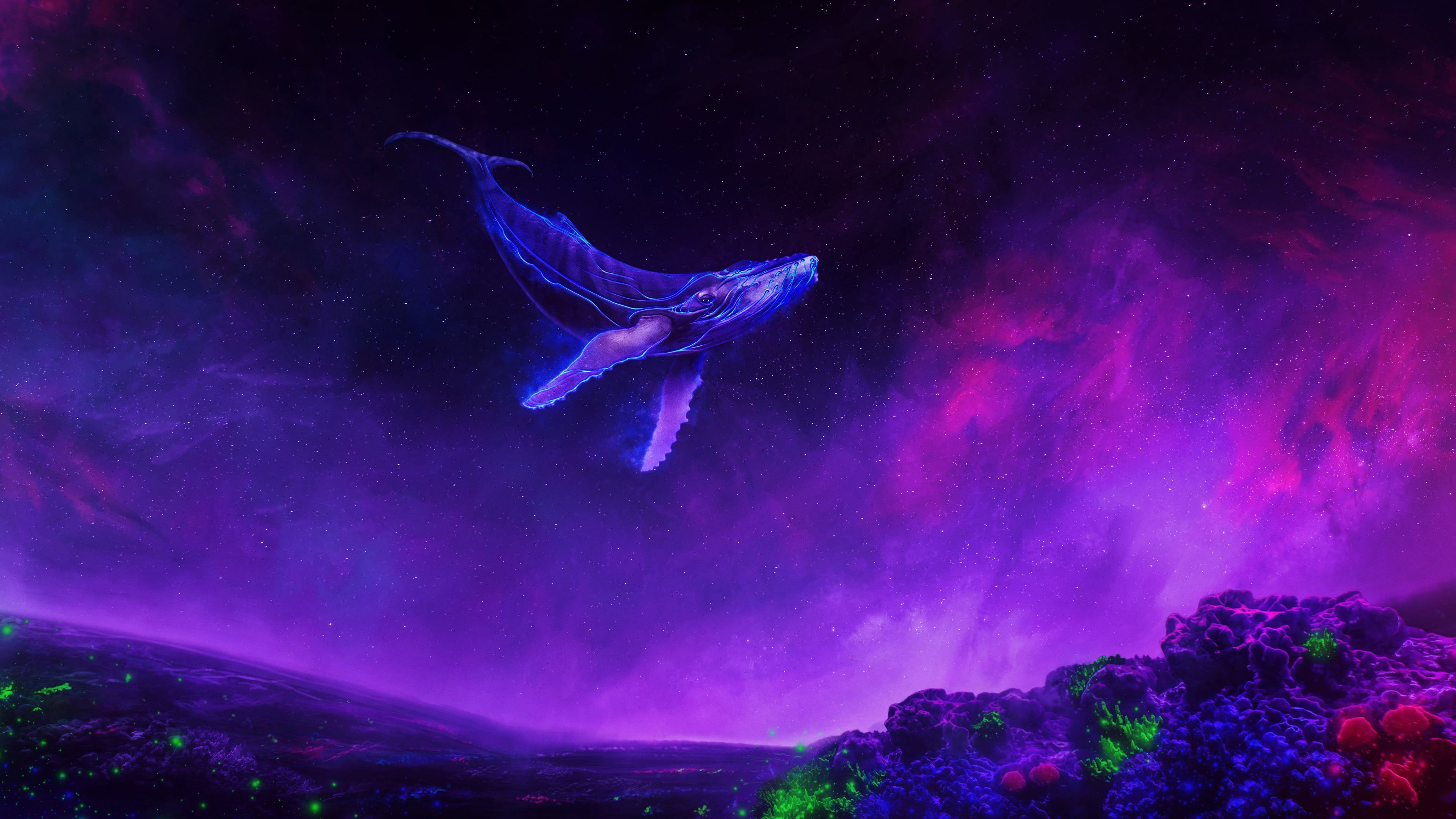 3840x2160 Fantasy Animals #Whale #Purple #Sky #4K #wallpaper #hdwallpaper #desktop | Water illustration, Purple sky, Wallpaper