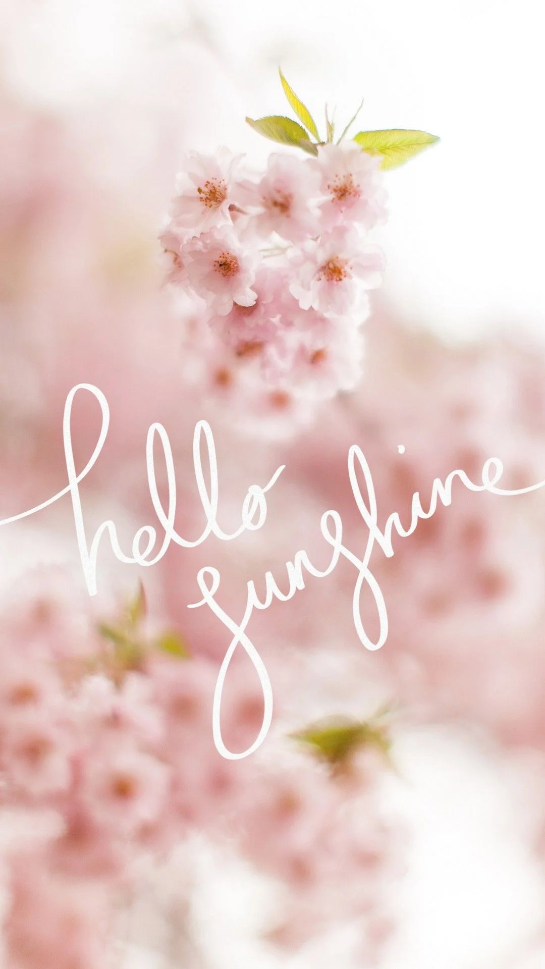 1080x1920 Cute Spring Wallpapers Top Free Cute Spring Backgrounds