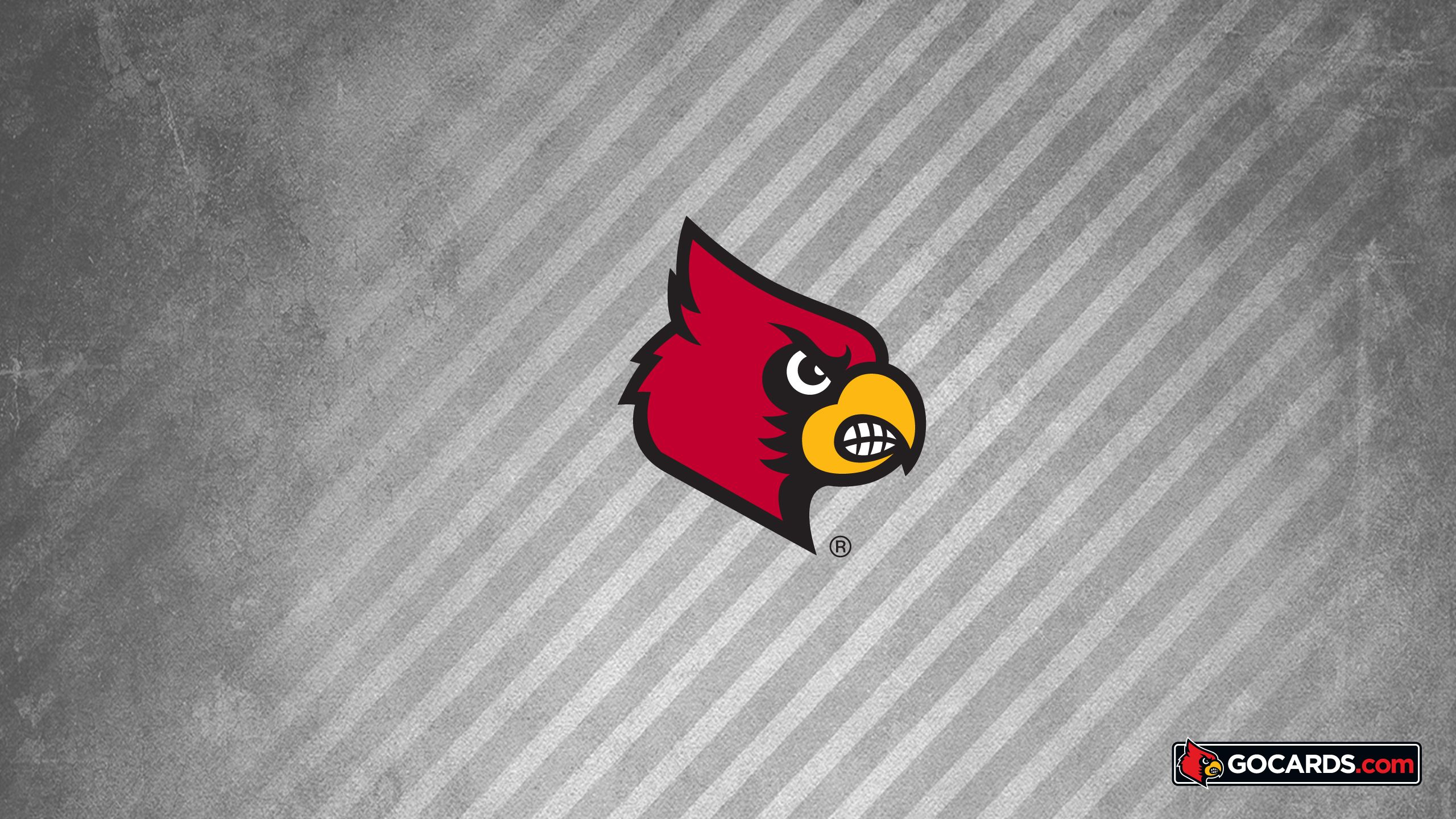 2560x1440 Louisville Cardinals Wallpapers Top Free Louisville Cardinals Backgrounds