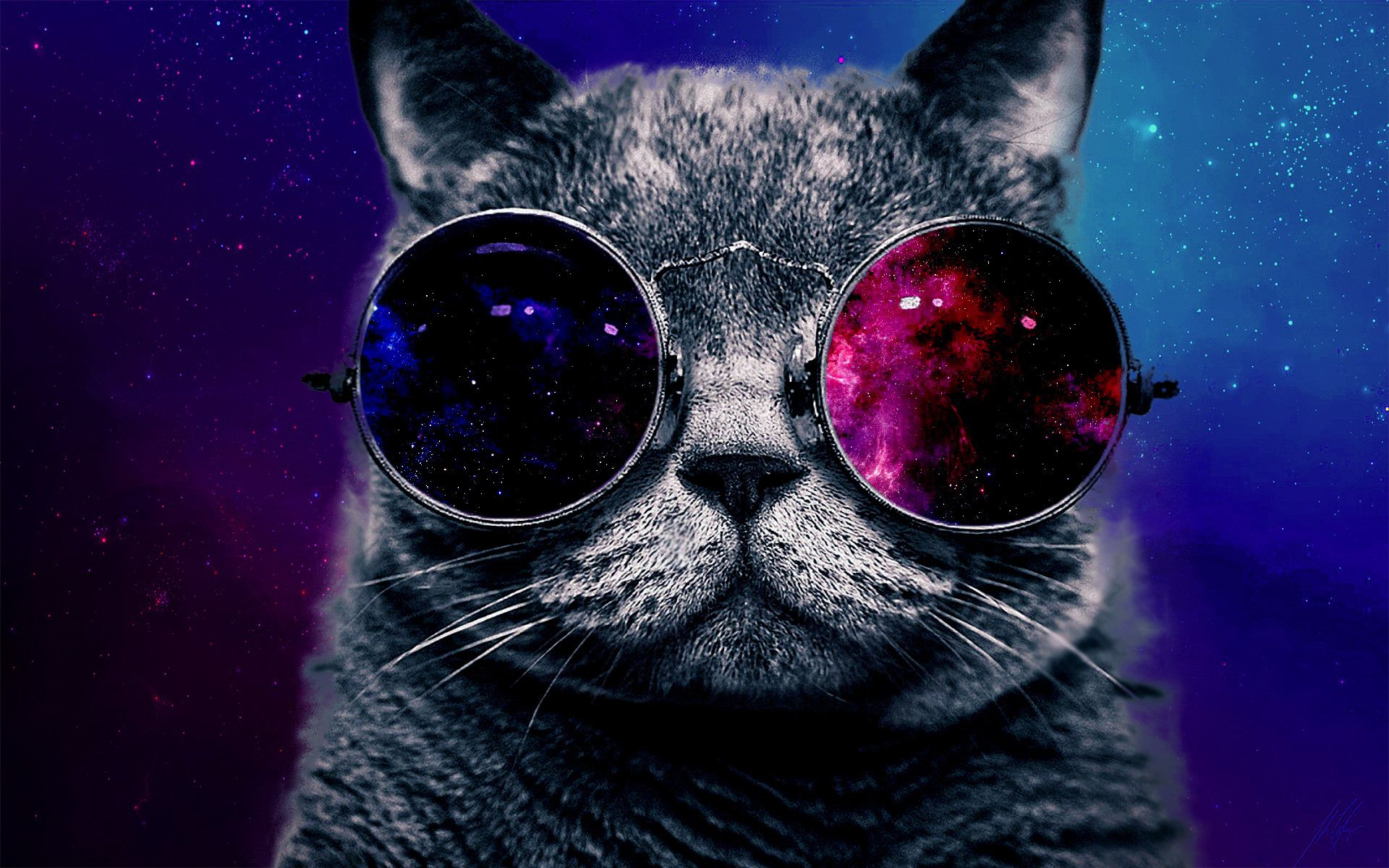 1920x1200 Hipster Galaxy Cat Wallpapers Top Free Hipster Galaxy Cat Backgrounds