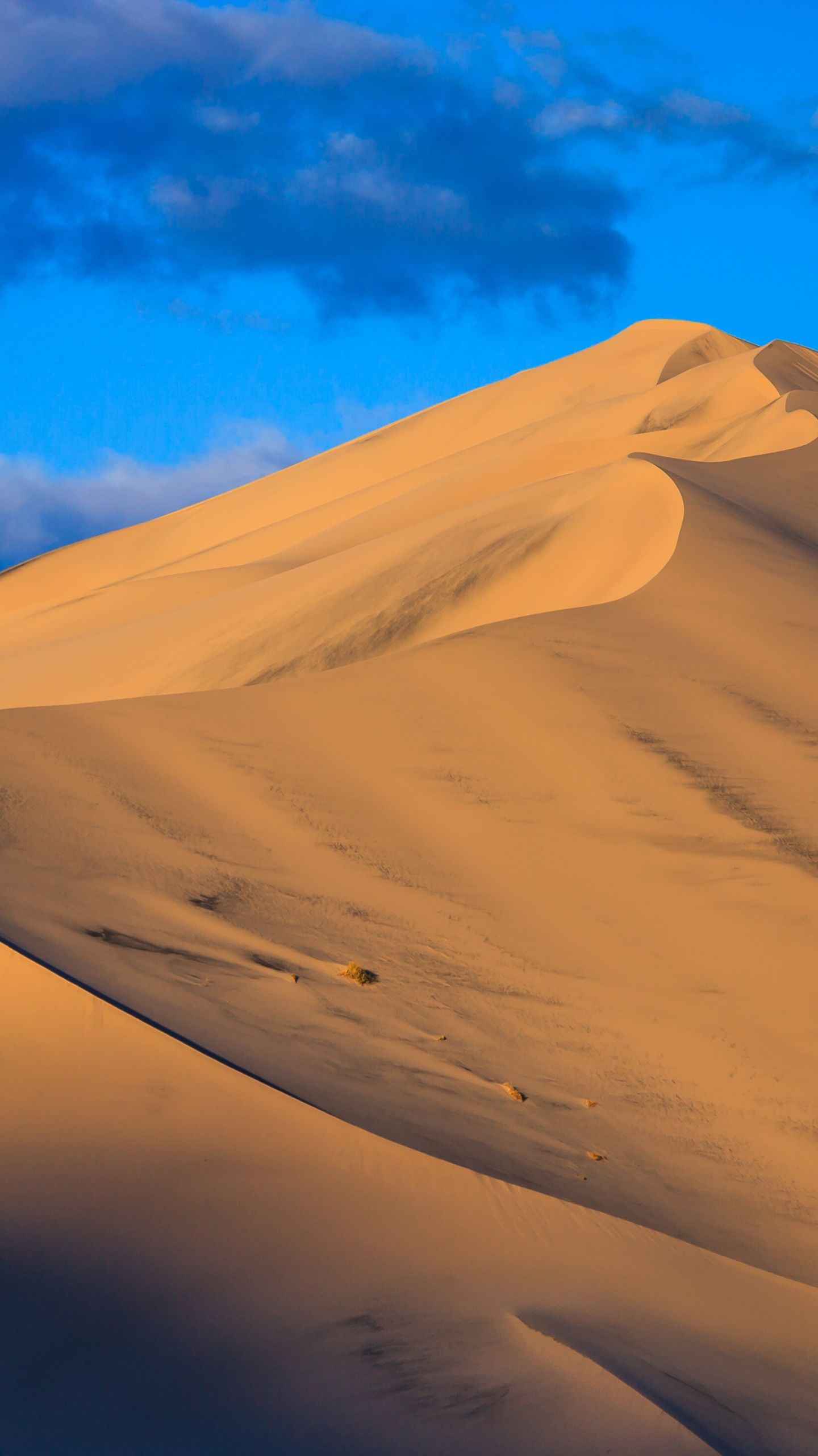 1440x2560 Landscape, sand, dunes, desert wallpaper | Iphone wallpaper landscape, Landscape, Desktop wallpaper art