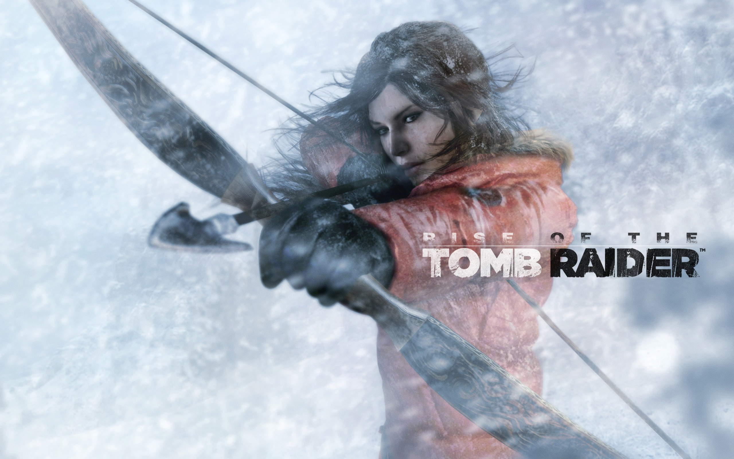 2560x1600 140+ Rise of the Tomb Raider HD Wallpapers and Backgrounds
