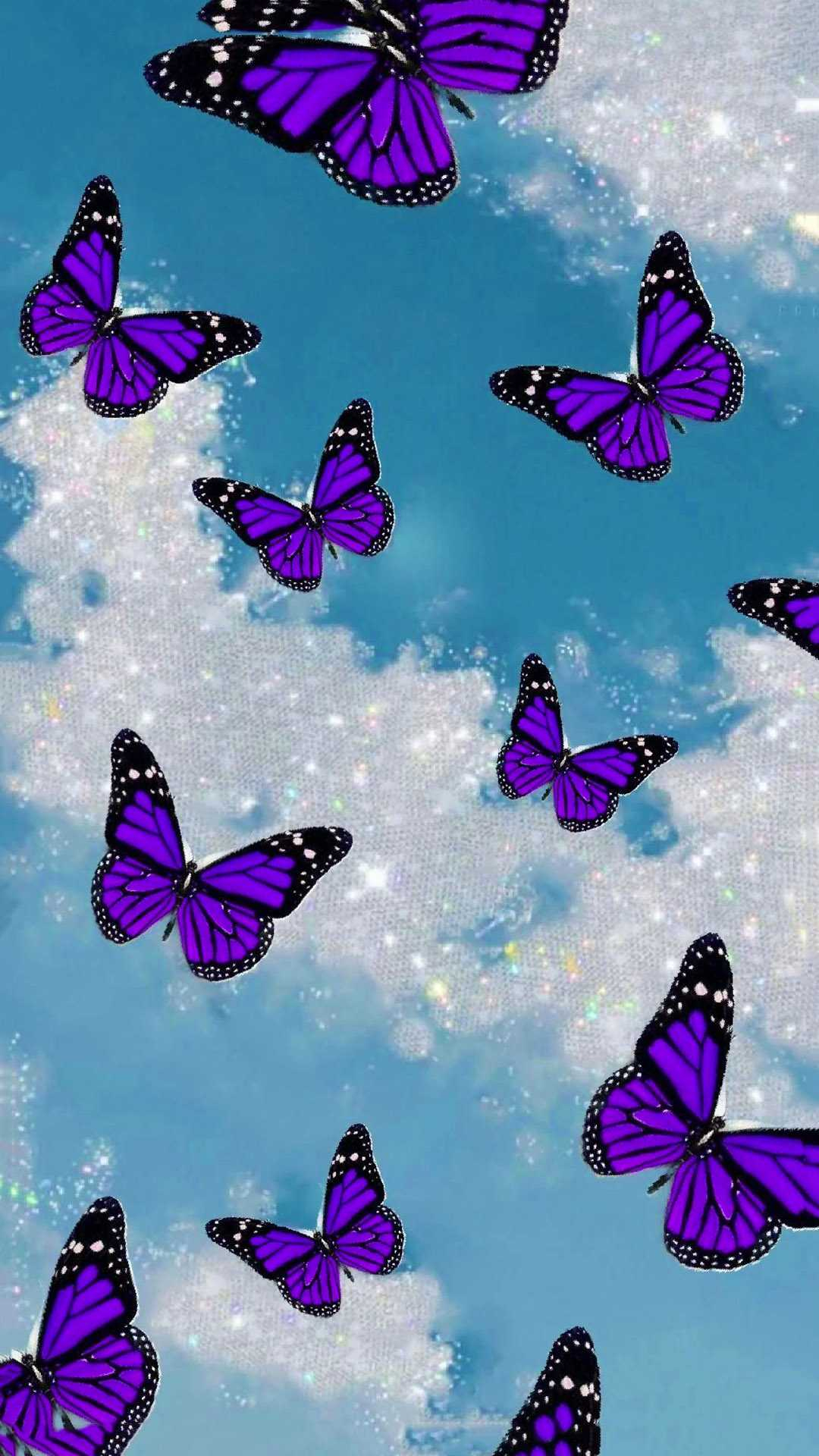 1080x1920 Orange And Purple Butterfly Wallpapers