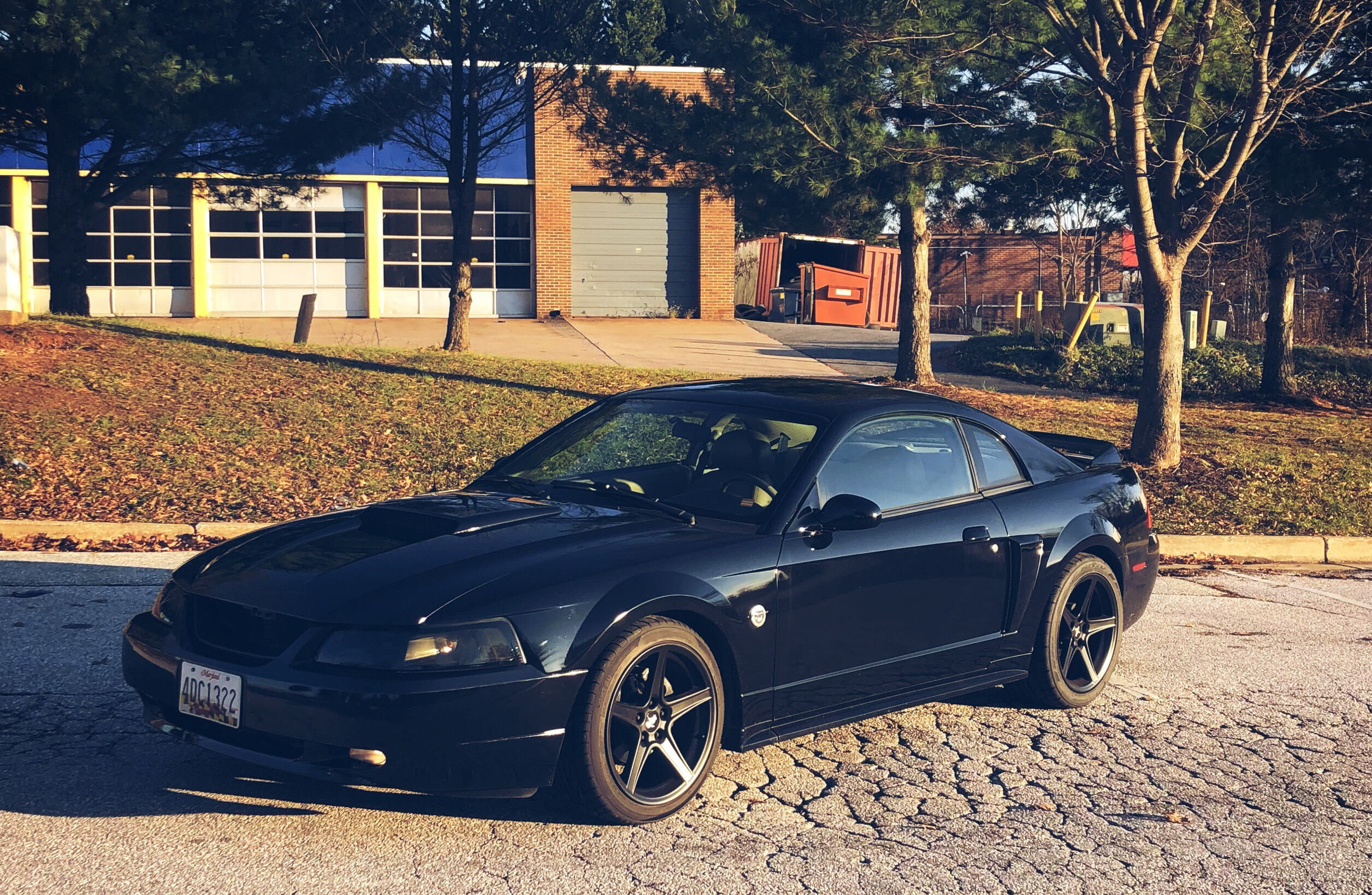 2512x1640 2004 Ford Mustang Wallpapers