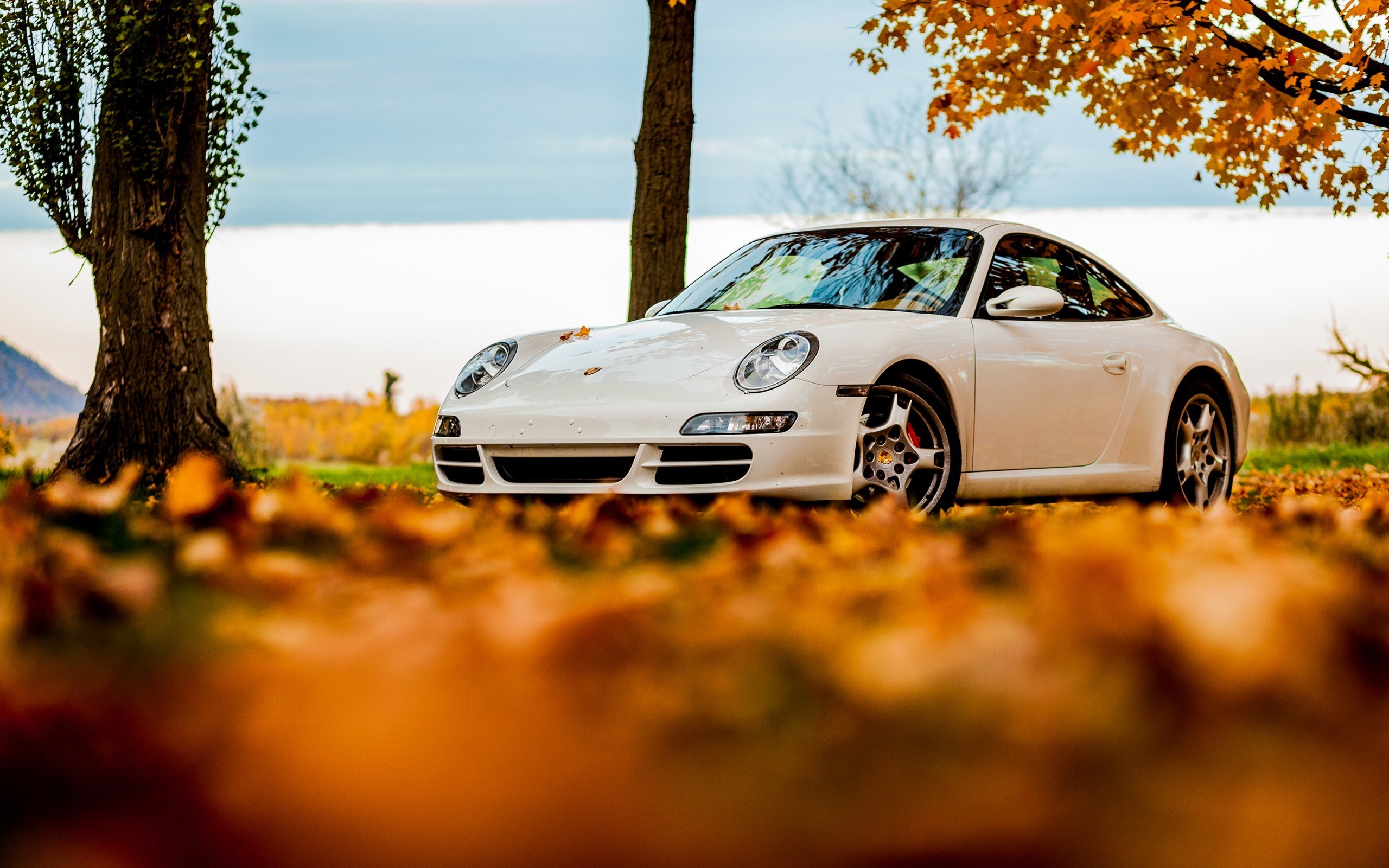 2560x1600 170+ Porsche 911 HD Wallpapers and Backgrounds