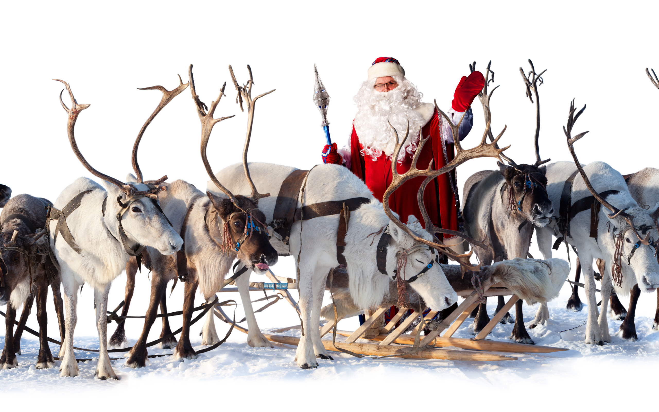 2560x1600 Santa Claus reindeer sleigh wallpaper | | 80630