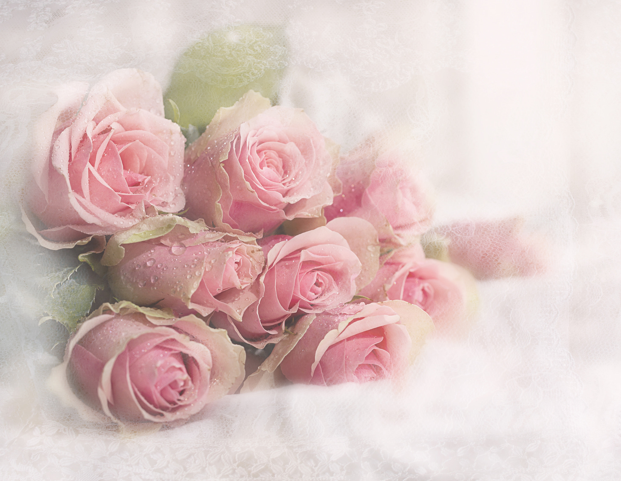 2048x1588 Soft Pink Roses